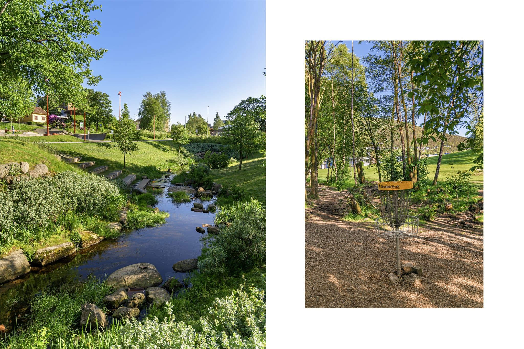 - Nyt fridager med frisbeegolf i Lynghaugparken -