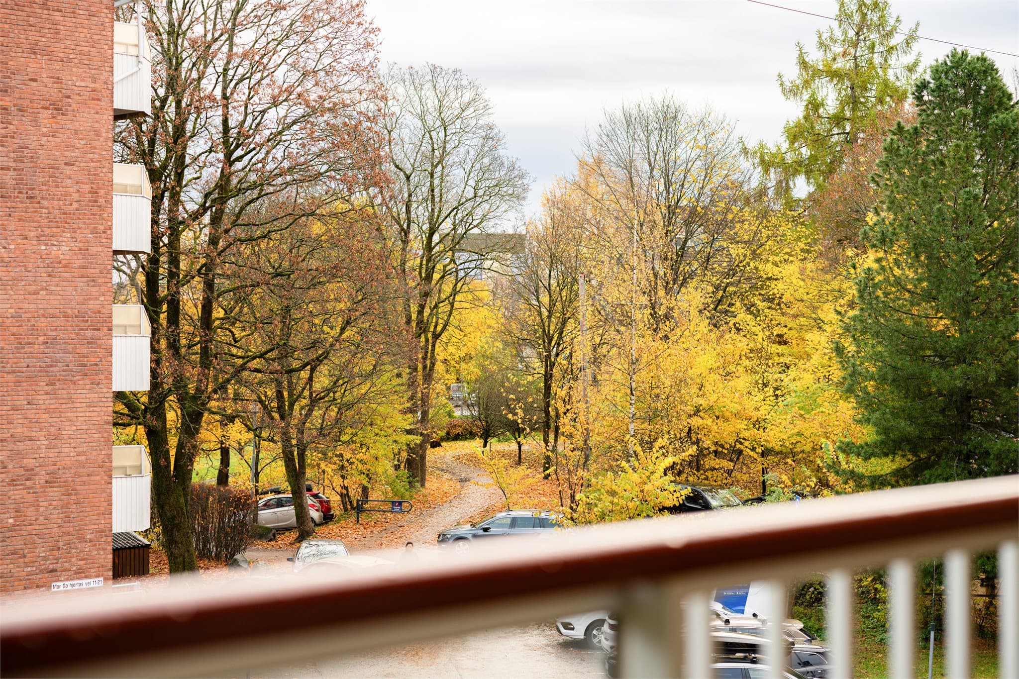 Foto: Henrik Fjørtoft Sporsheim
