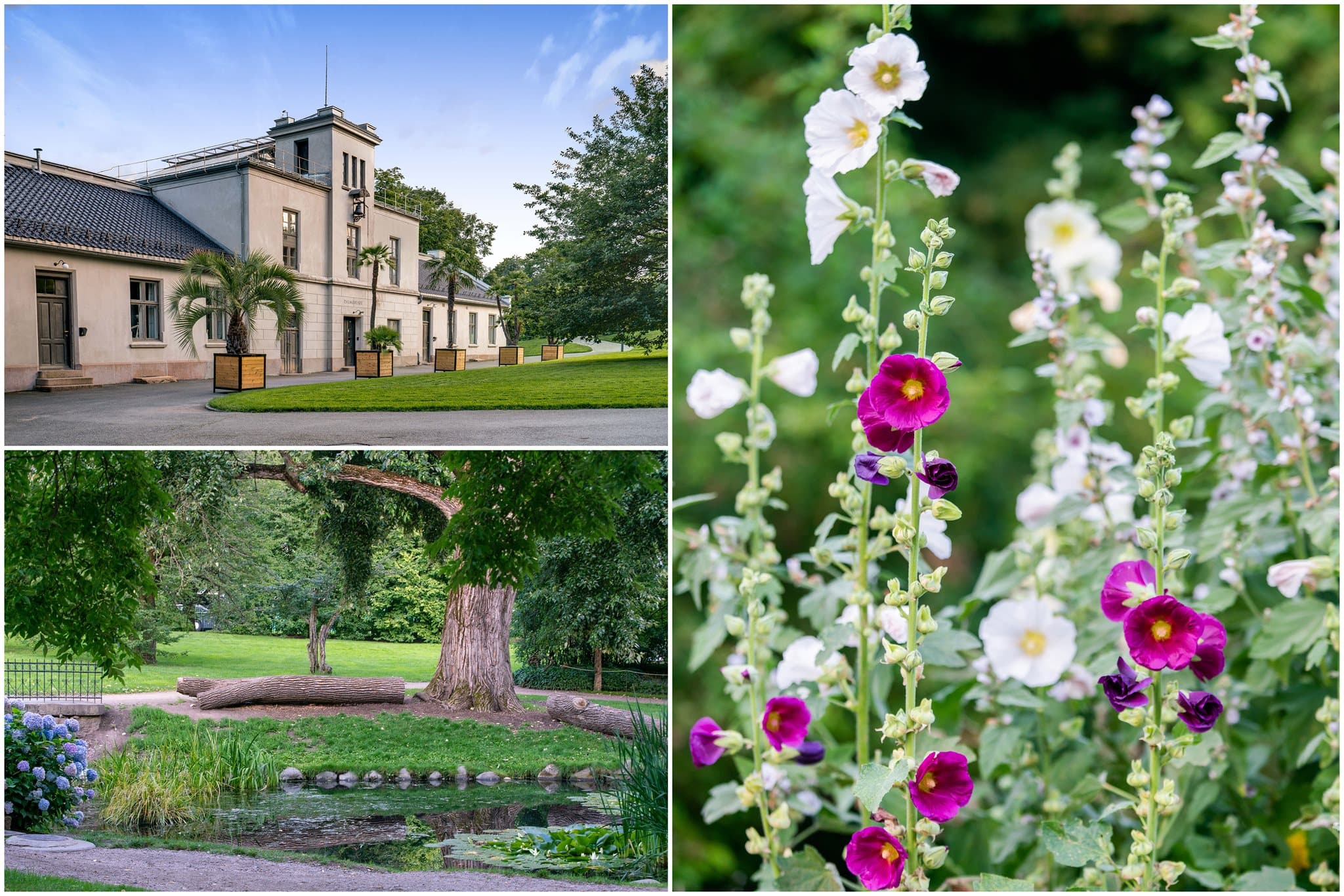 Botanisk hage.