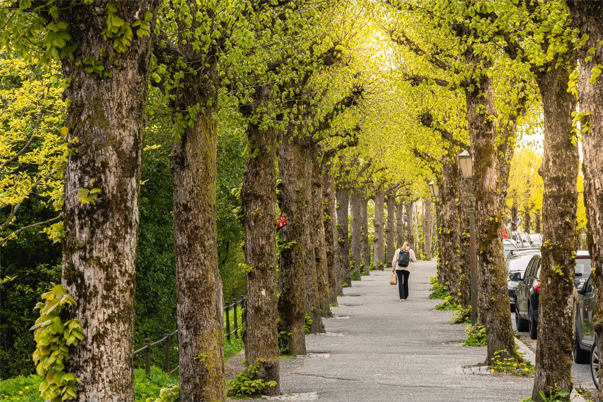 Ta turen utover idylliske Nordnes