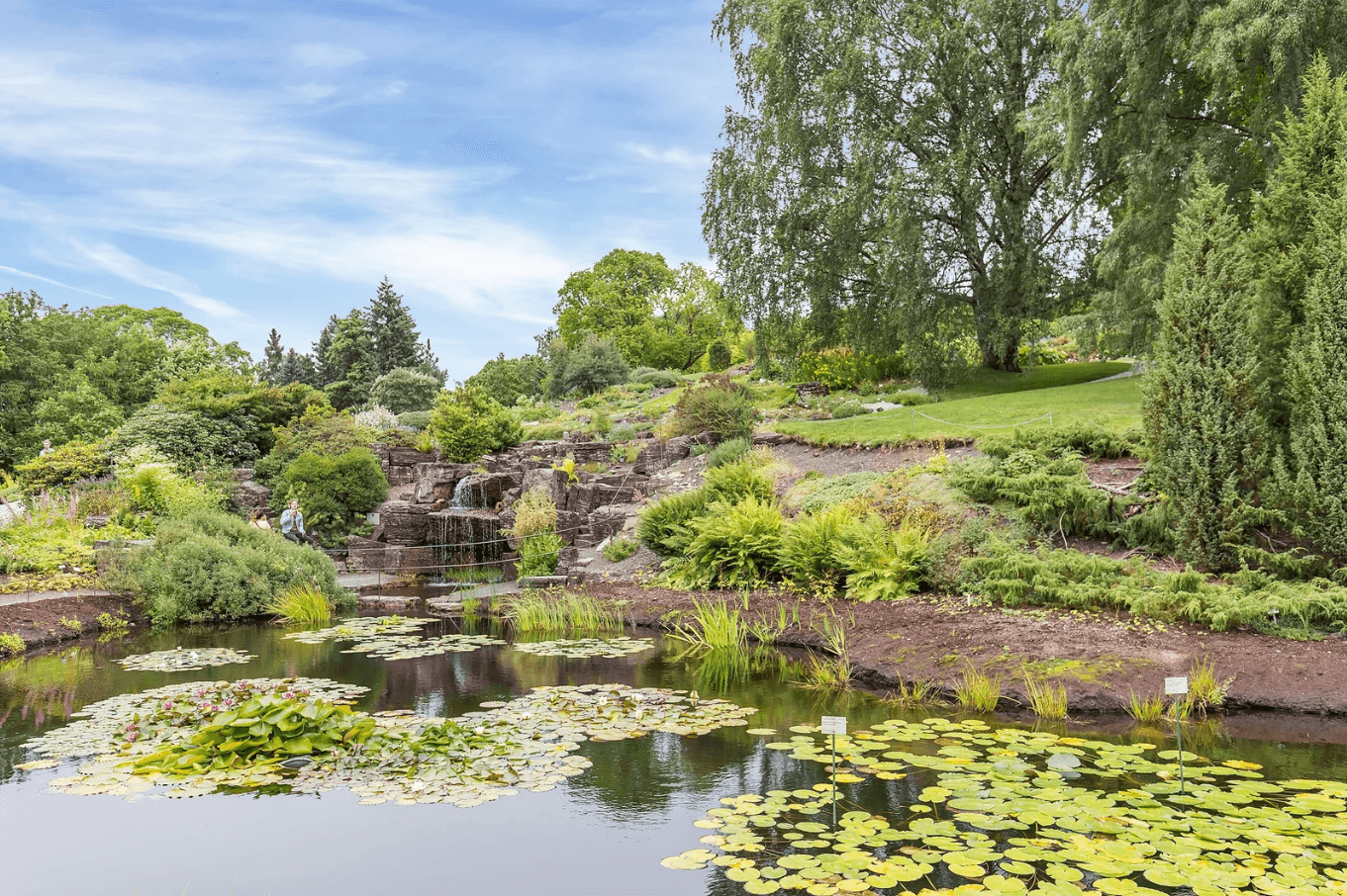 Botanisk hage og Naturhistorisk museum ligger en kort gåtur unna!