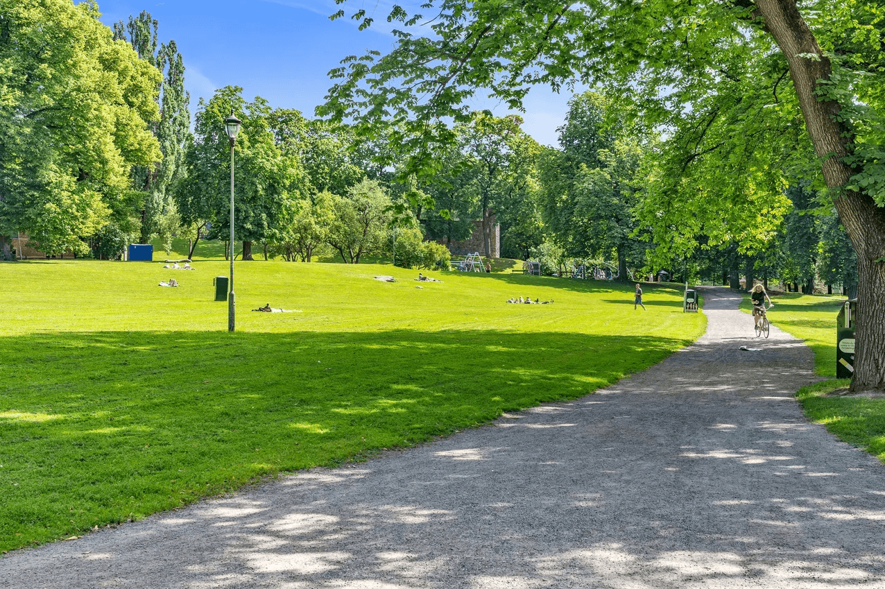 Tøyenparken har nydelige områder man kan oppholde seg, sommer som vinter.