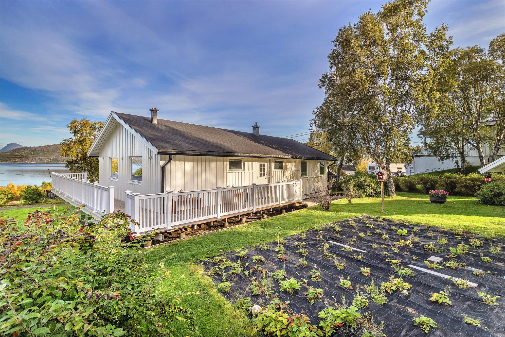 Etablert dyrkingsområde i hagen for bær og grønnsaker.