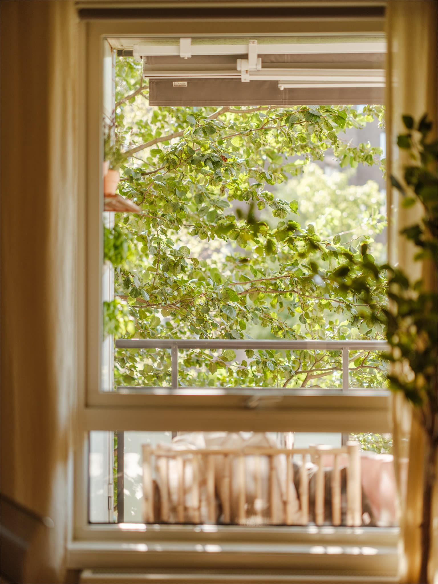 Herlig, grønt utsyn.