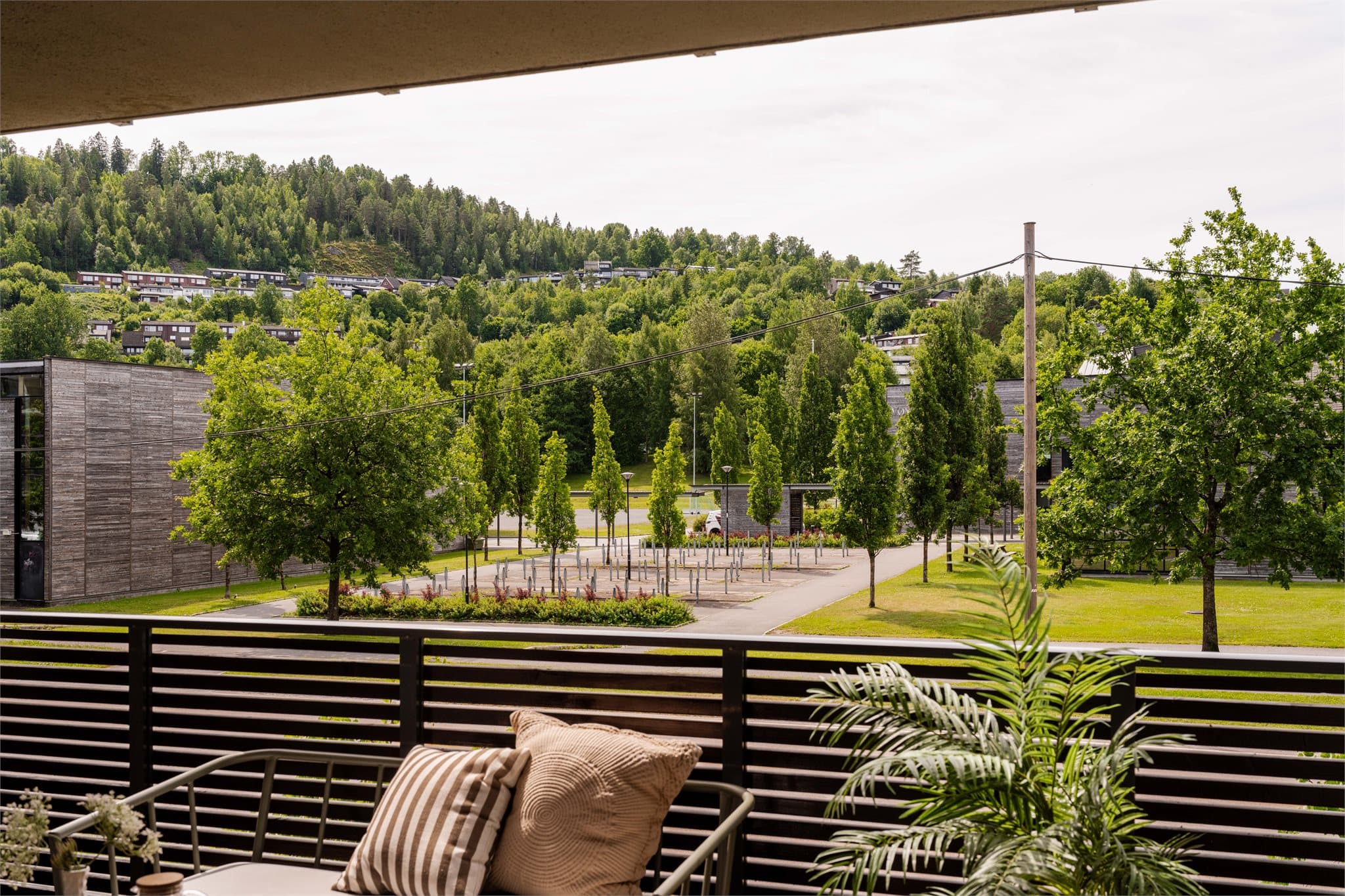 Utsikt fra terrassen mot parkdraget rundt Vøyenenga skole.