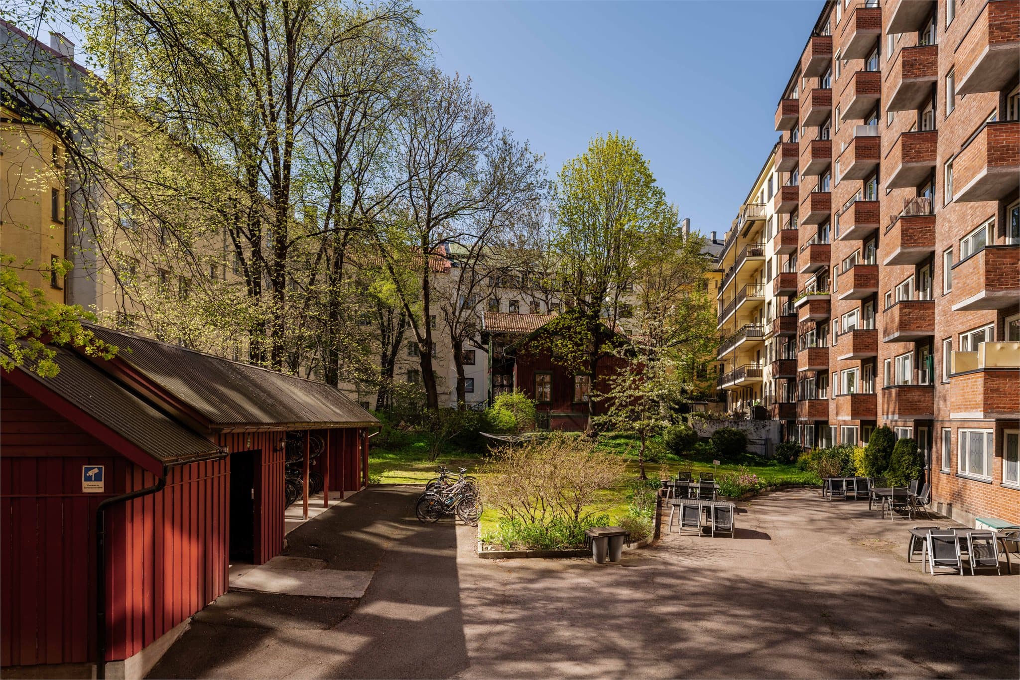 Nyt de rolige omgivelsene i den felles bakgården - en sjelden og fredelig oase på Frogner.