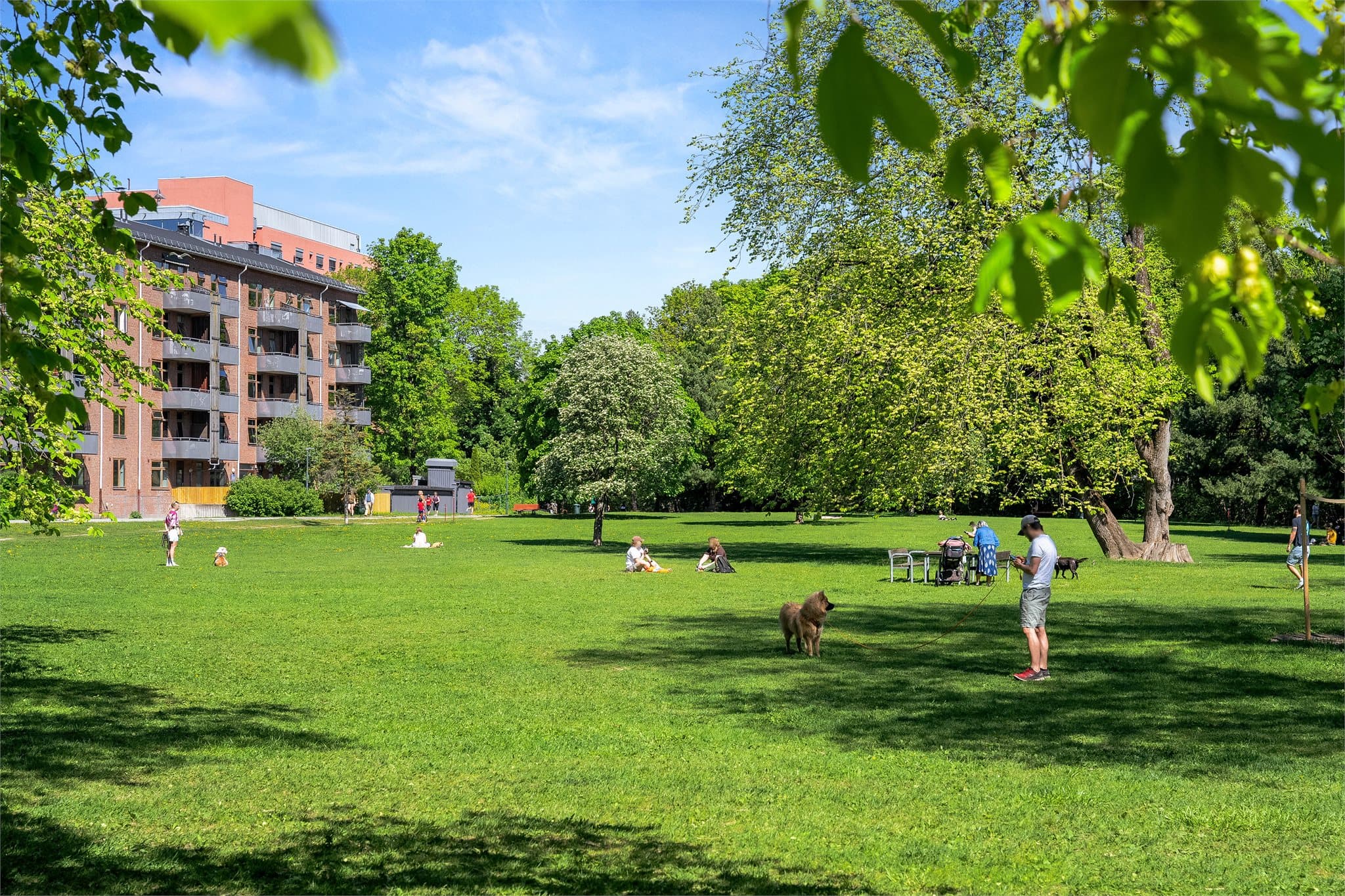 Nærområdet byr på flere grønne lunger, som Bjølsenparken og Voldsløkka idrettspark.