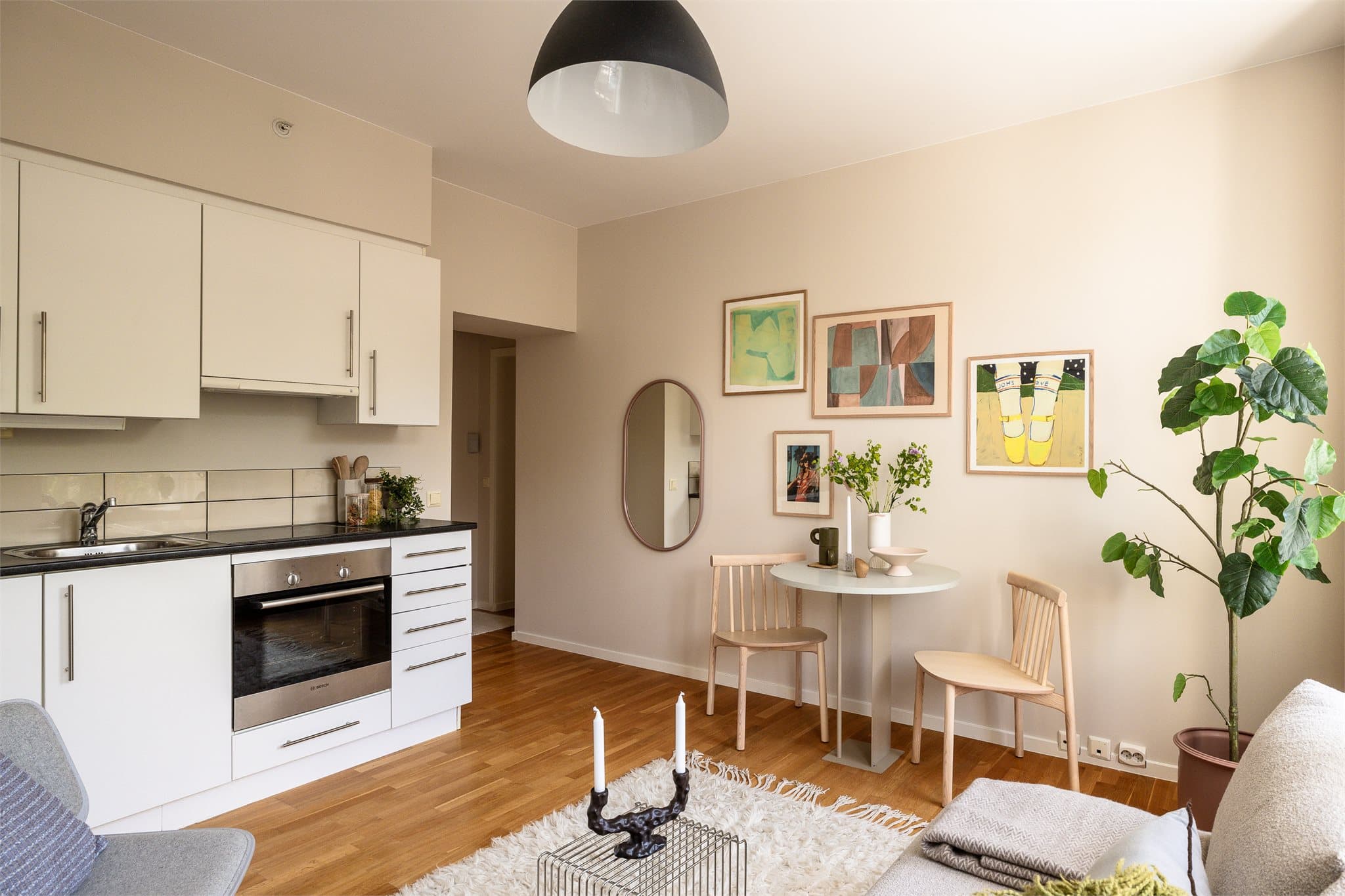 Det er stekeovn, oppvaskmaskin, ventilator og kjøleskap på kjøkkenet.