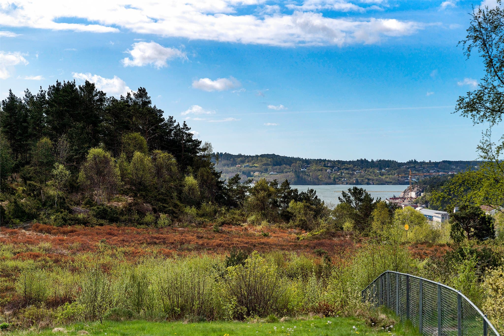 - Området kan by på flotte stier og turer som blant annet Kanadaskogen -