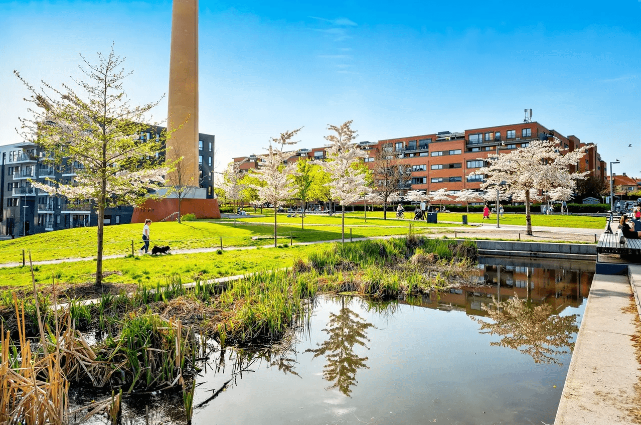 Tiedemannsparken som nærmeste nabo - masser av hygge for både store og små, i tillegg til mosjonister.