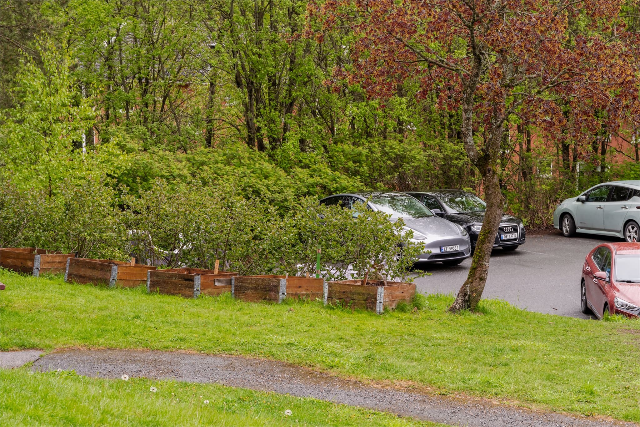 Det er også drivhus og mange plantekasser for beboerne, som fordeles etter ønske på vårparten.