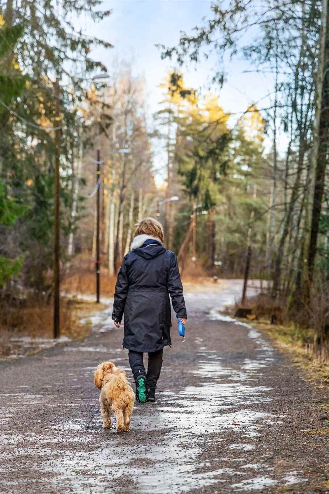 Bilfrie skogsveier og turstier strekker seg milevis innover perfekt for deg med hund.