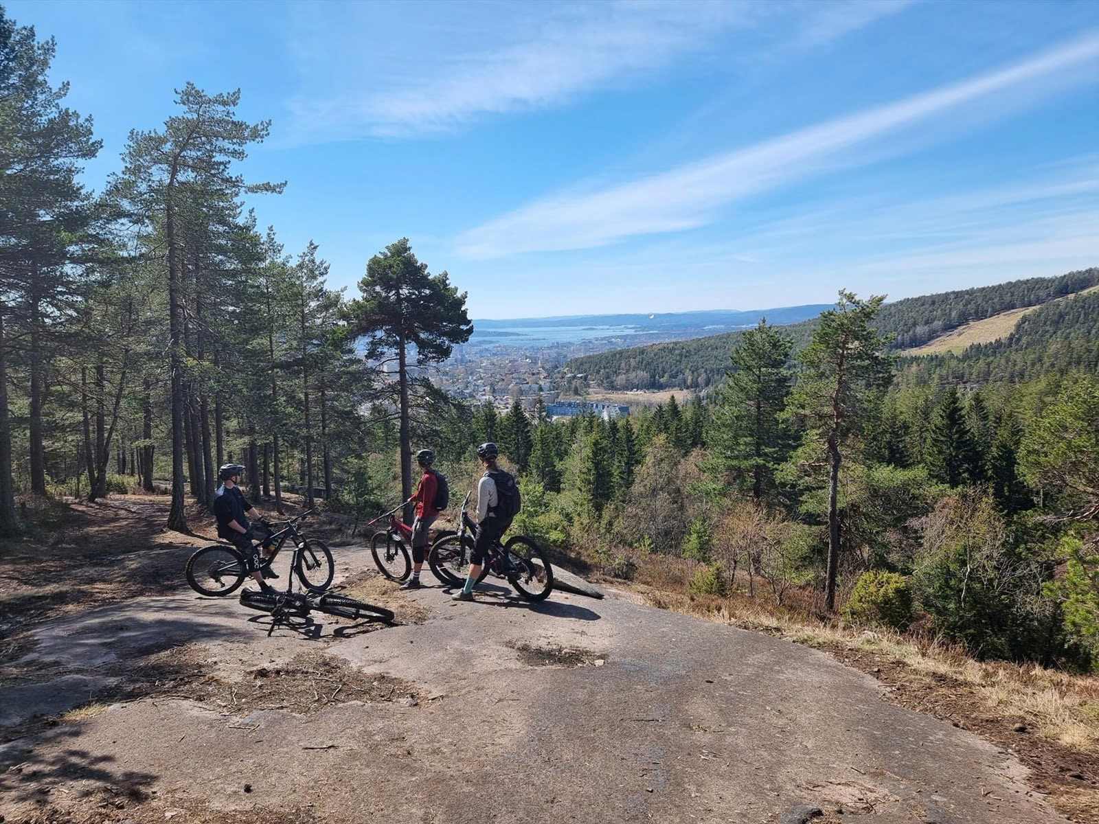 Årvollåsen er et eldorado for sykkelentusiaster.