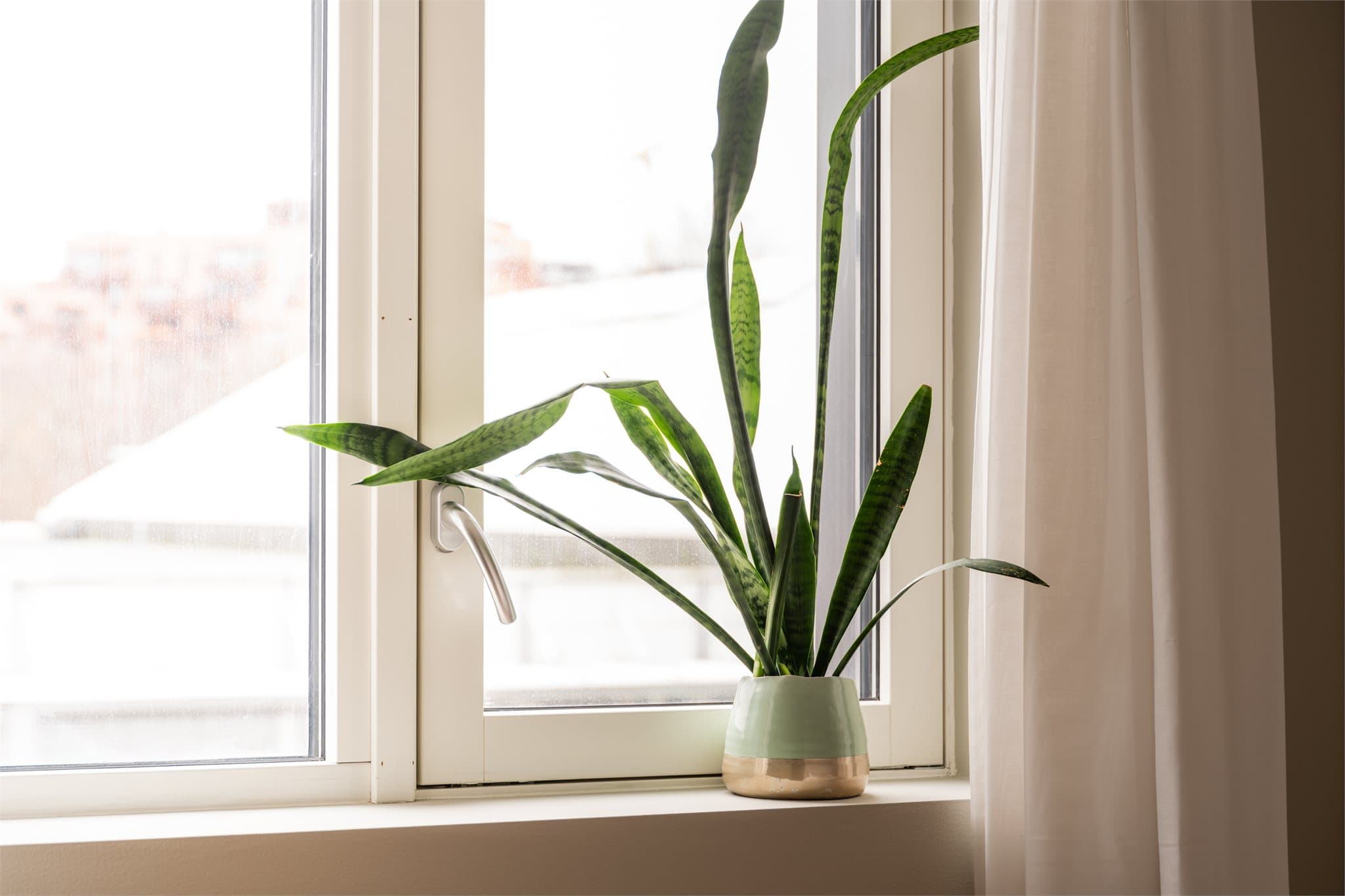 Her får dere et luftig hjem med moderne farger, luftige rom og mye boltreplass.