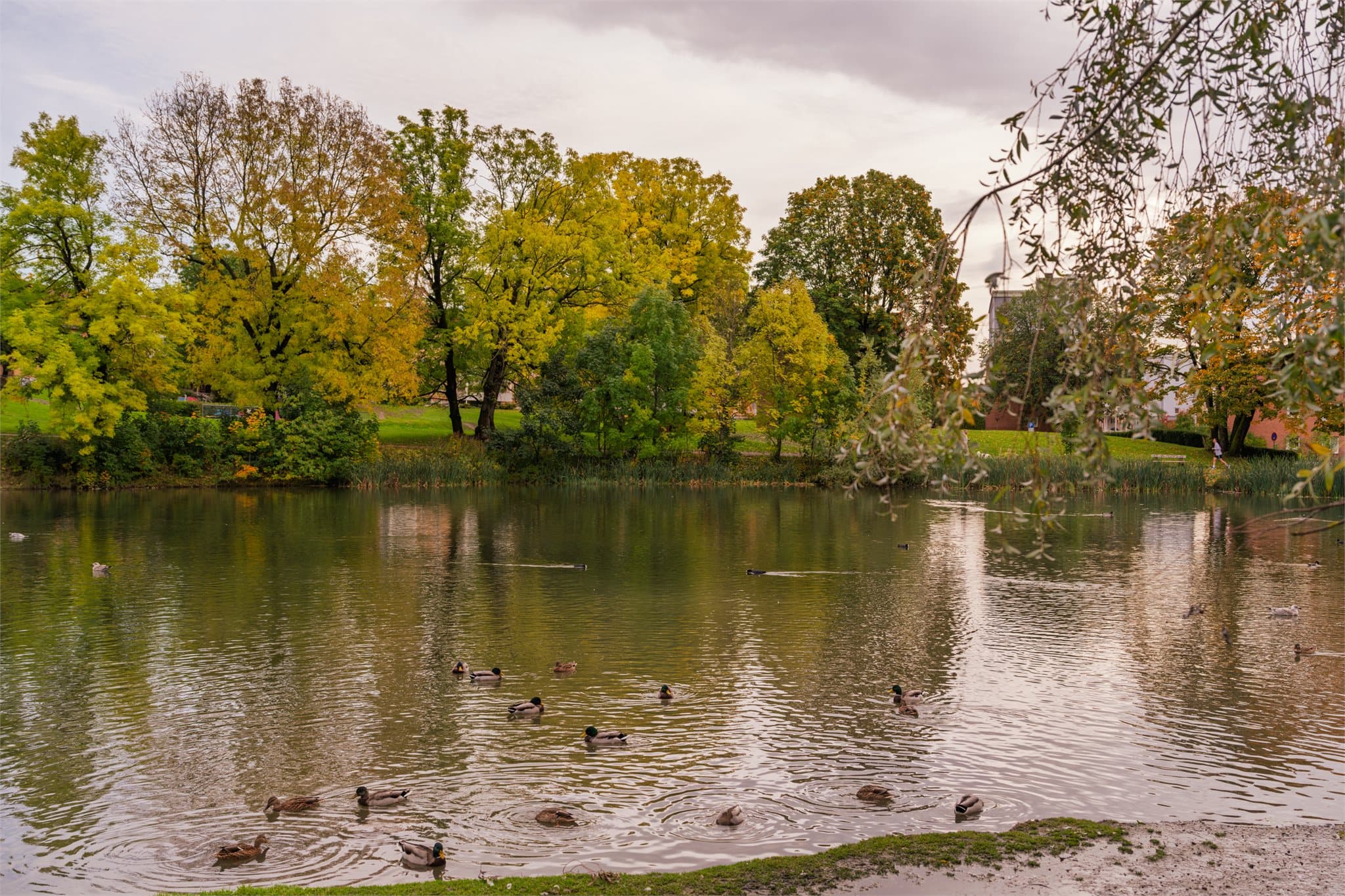 Den idylliske Hovindammen ligger en kort spasertur unna.