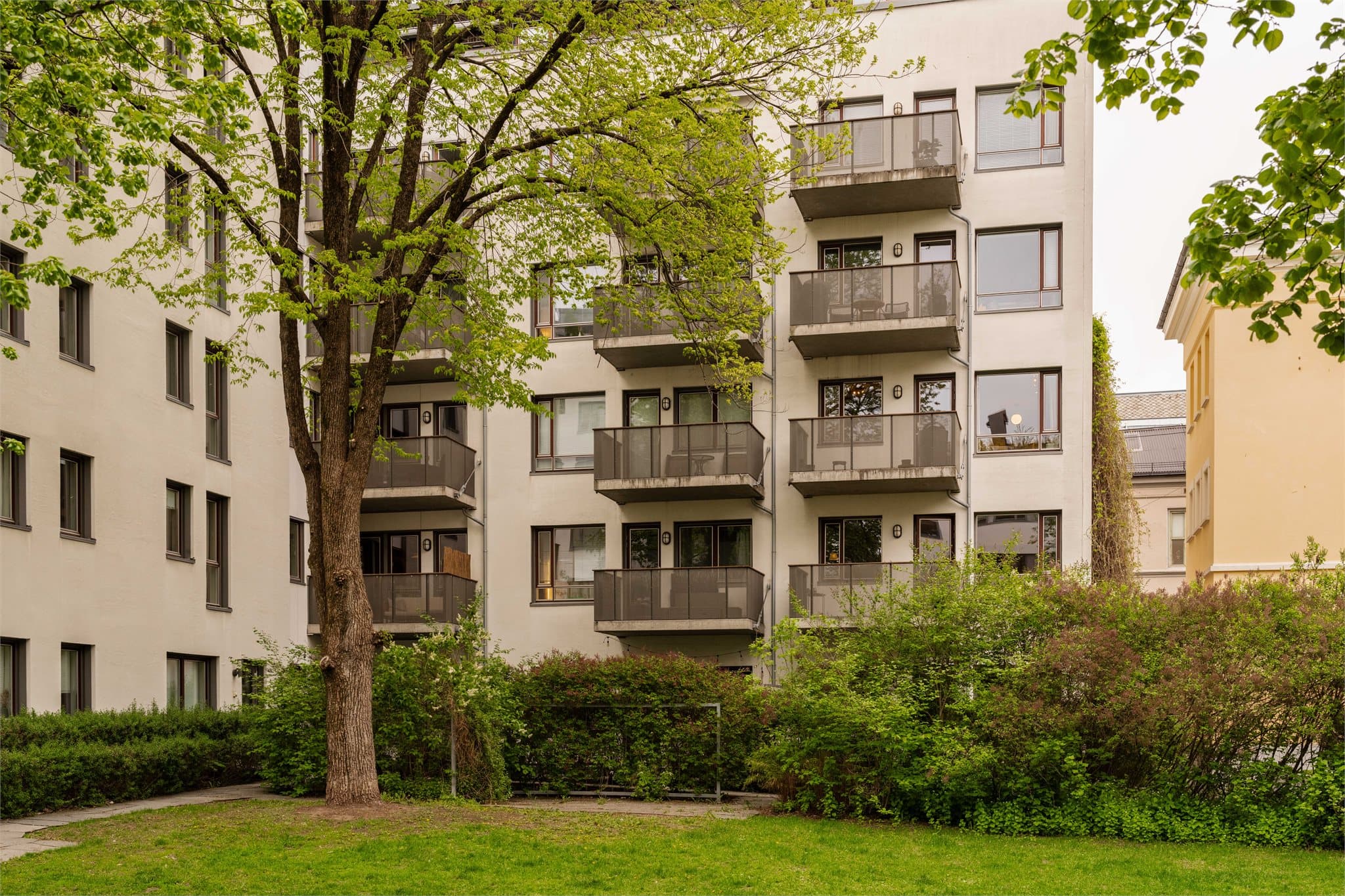 Bygården har en skjermet og frodig bakgård.
