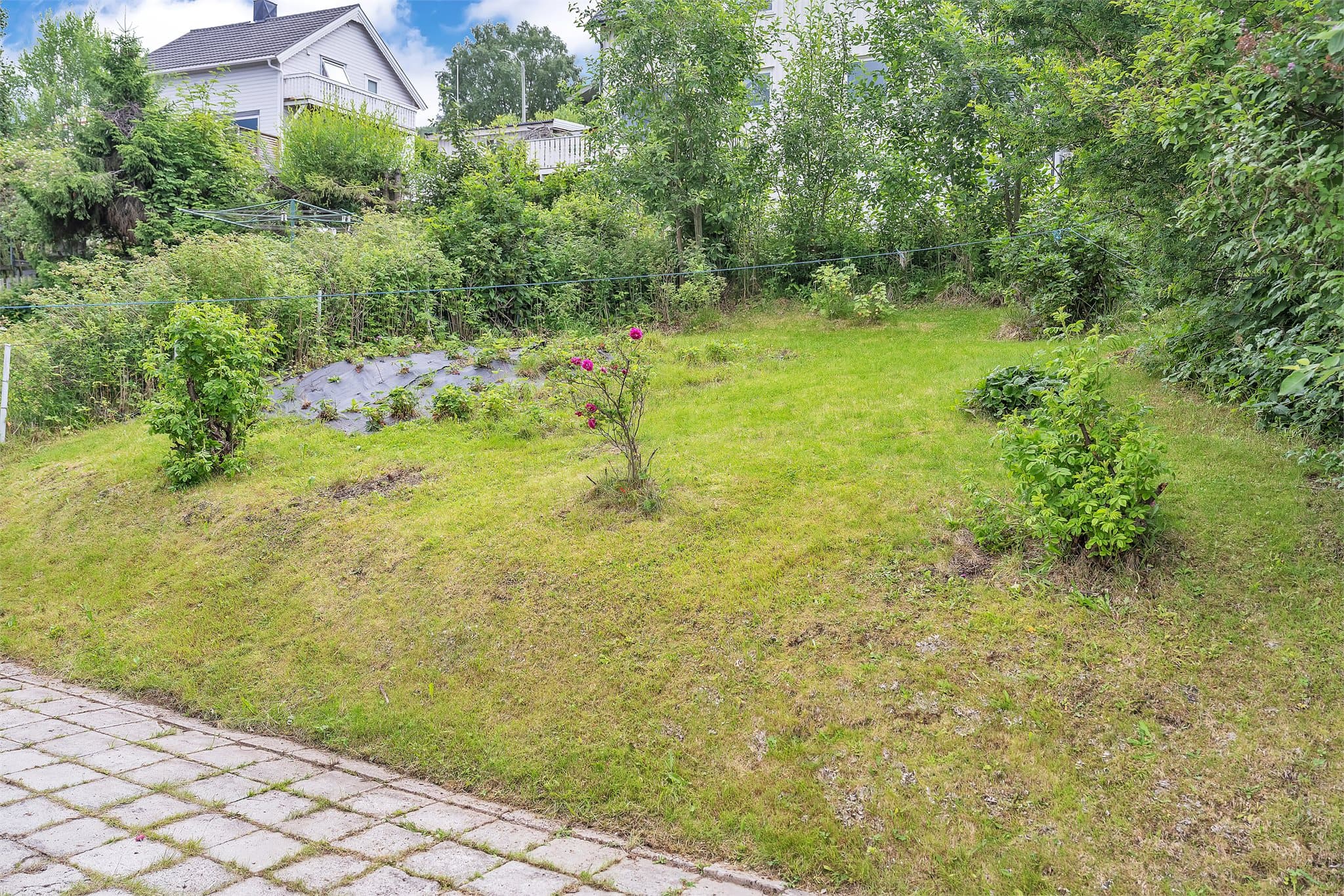 Fin og skjermet hage bak boligen