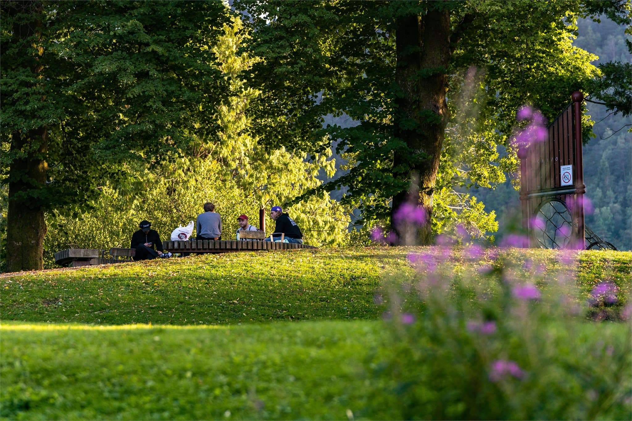 Nygårdsparken er kjent for sine idylliske vannpartier og for frodig vegetasjon med mange fremmede treslag