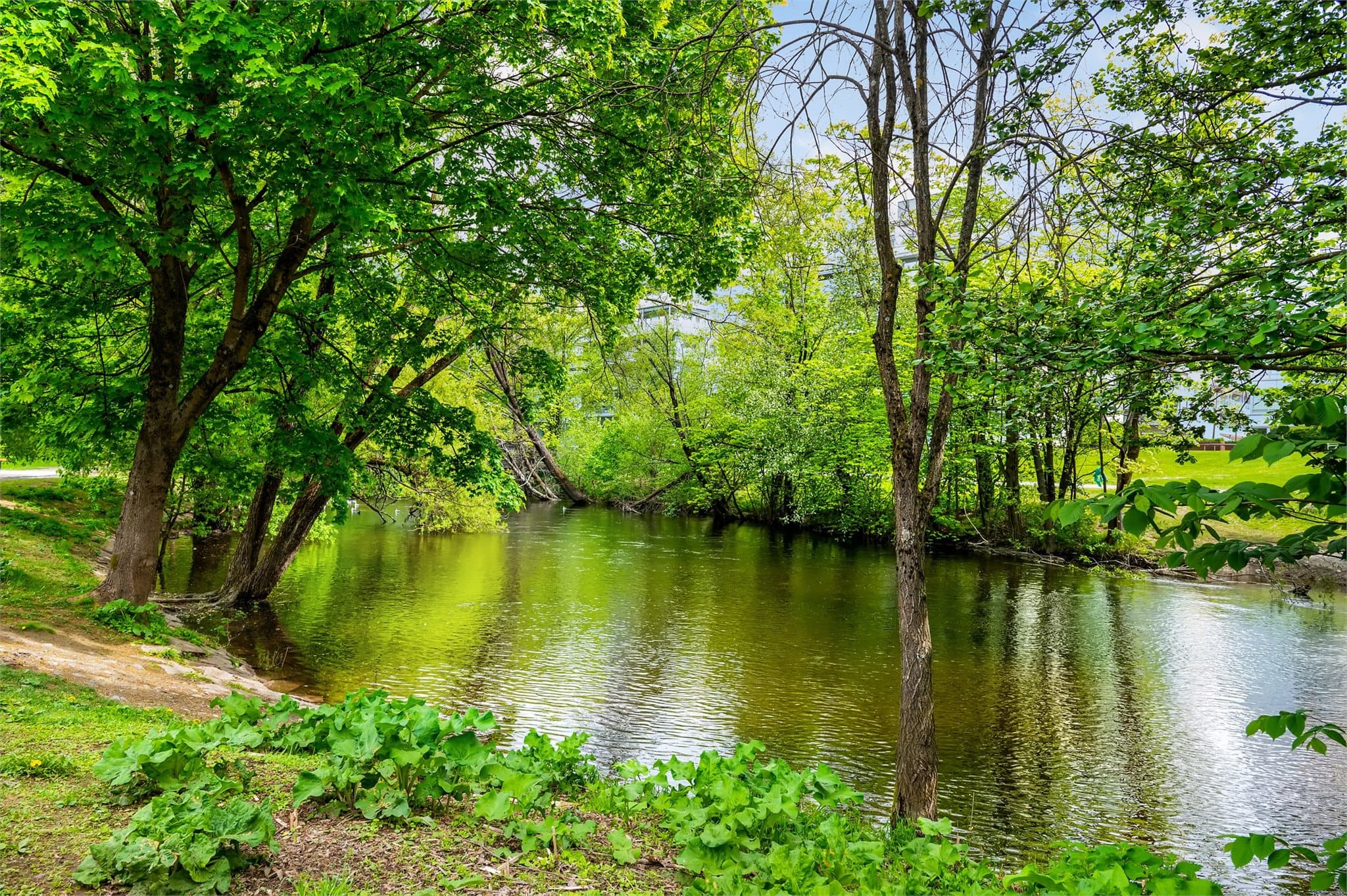 Tenk å ha dette like utenfor døren, midt i byen!