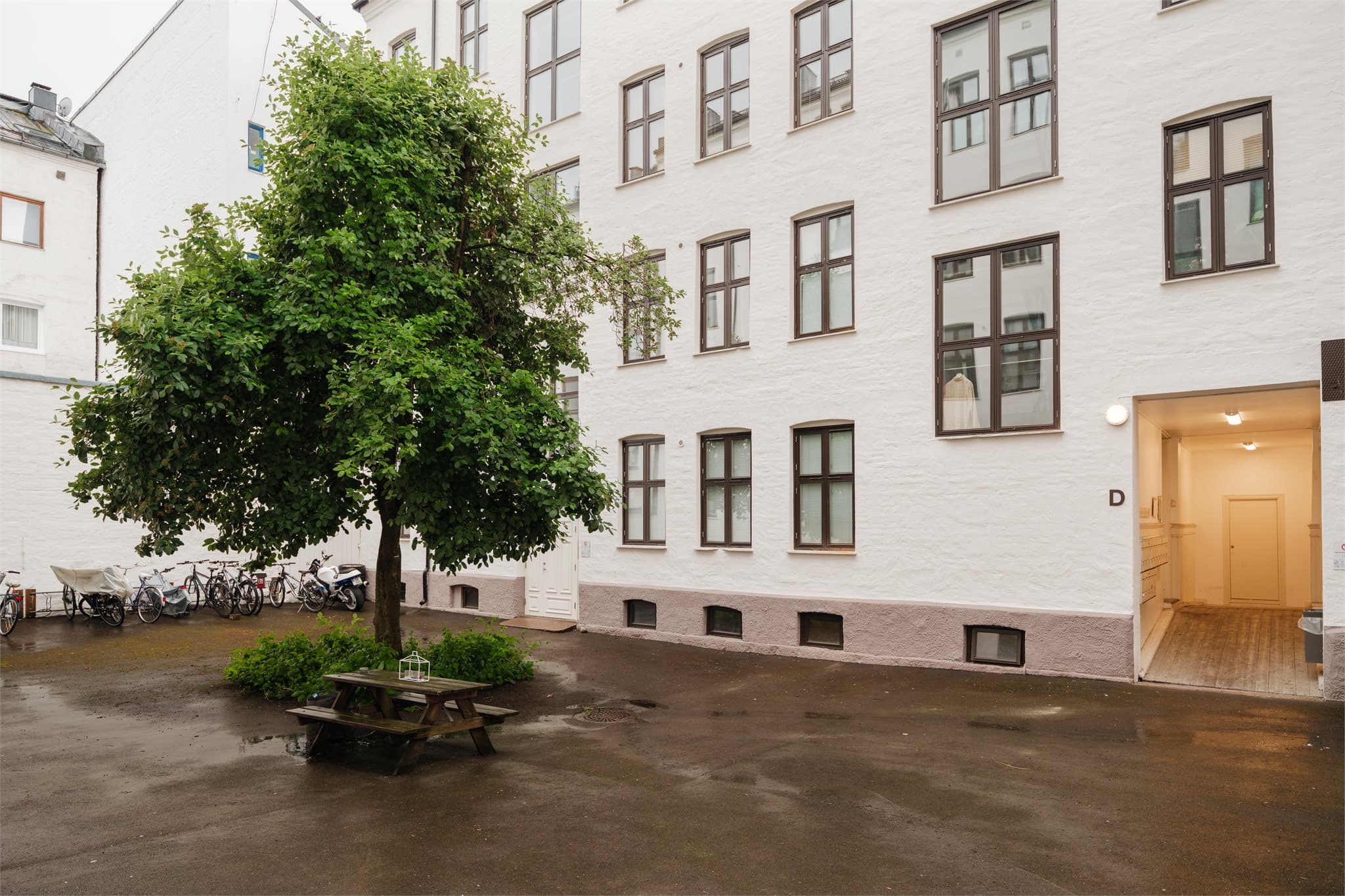 Hyggelig bakgård med grønt tre, benkeplass og sykkelstativ.