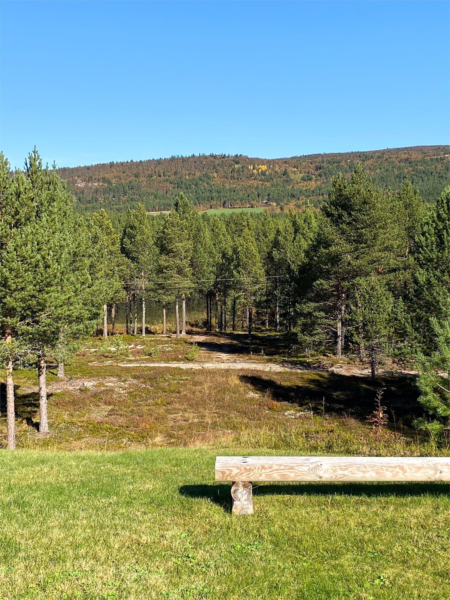 Privat bilde tatt av selger som illustrerer den åpne beliggenheten og det vakre landskapet rundt hytta. Utsikt mot Håelva.