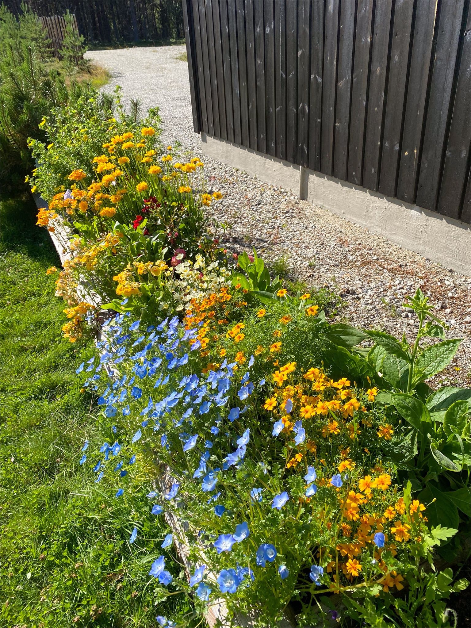 Privat bilde fra selger som viser flotte beplantninger rundt hytten på sommerstid.