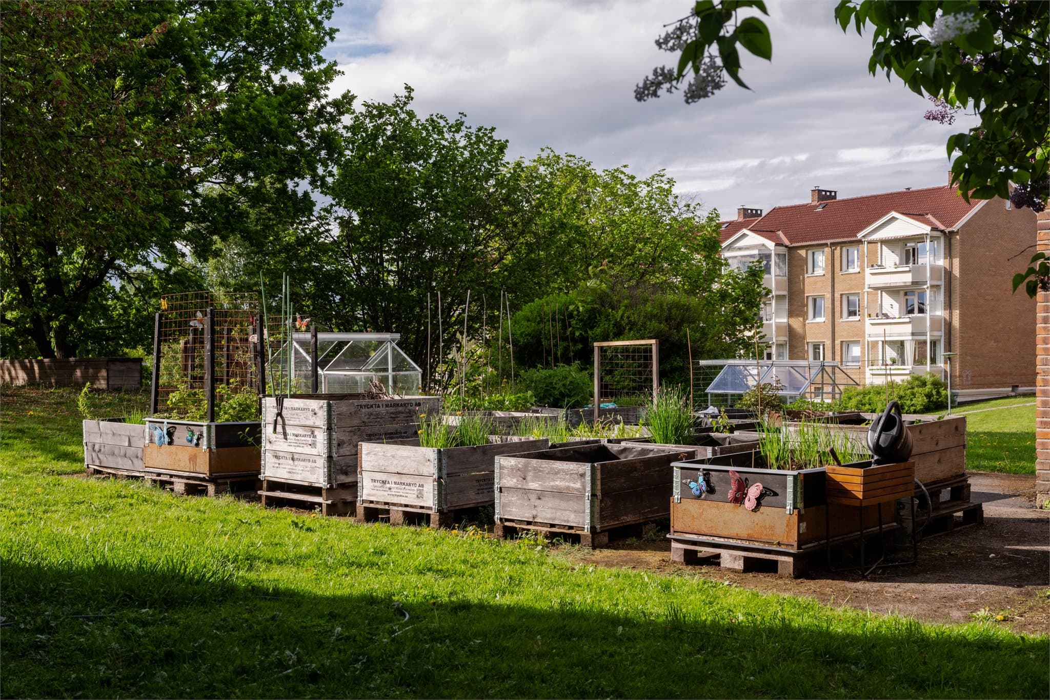 Borettslaget har dyrkekasser som beboerne kan benytte seg av.