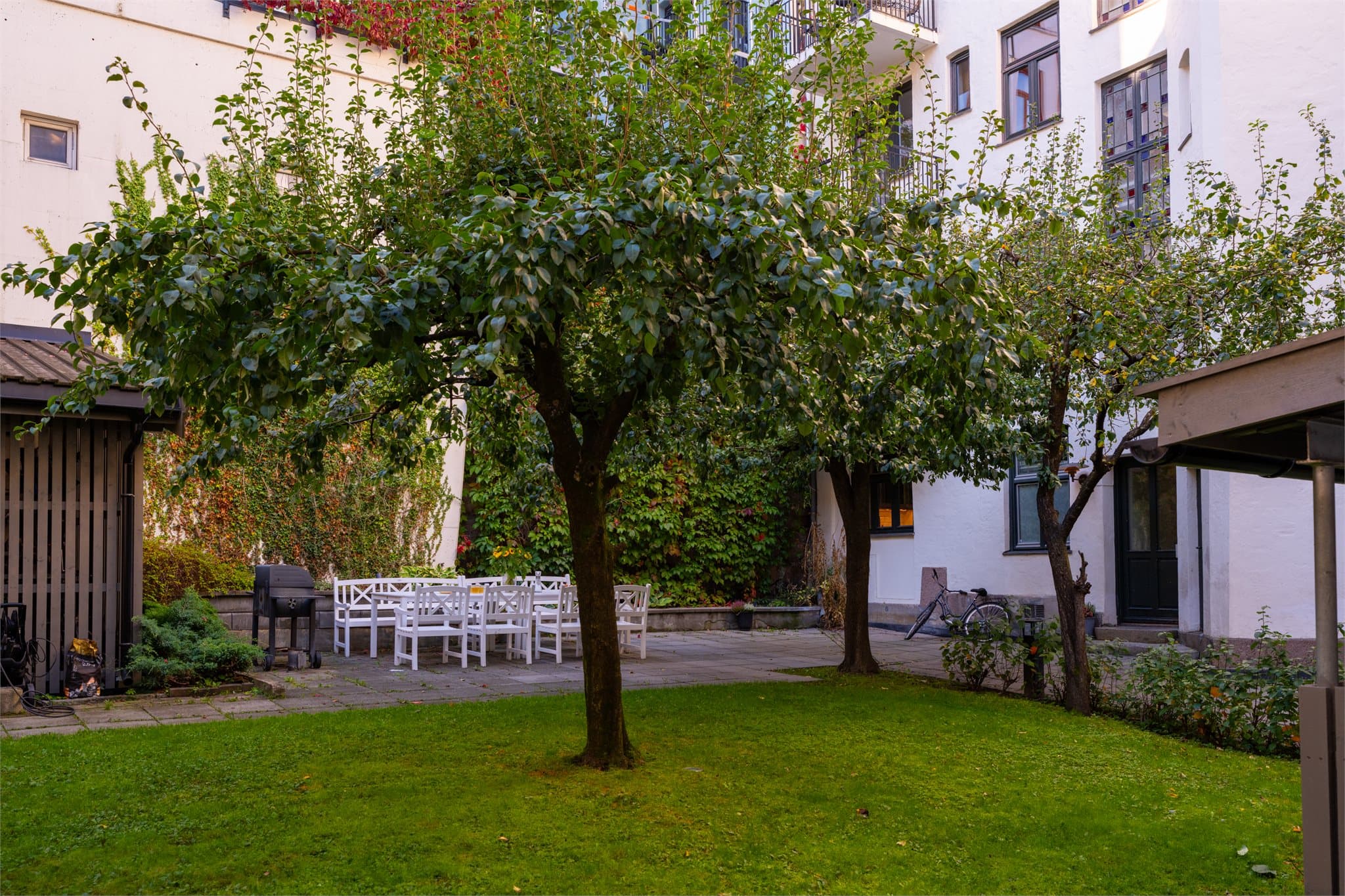 Bakgården har både gressplen og trær.