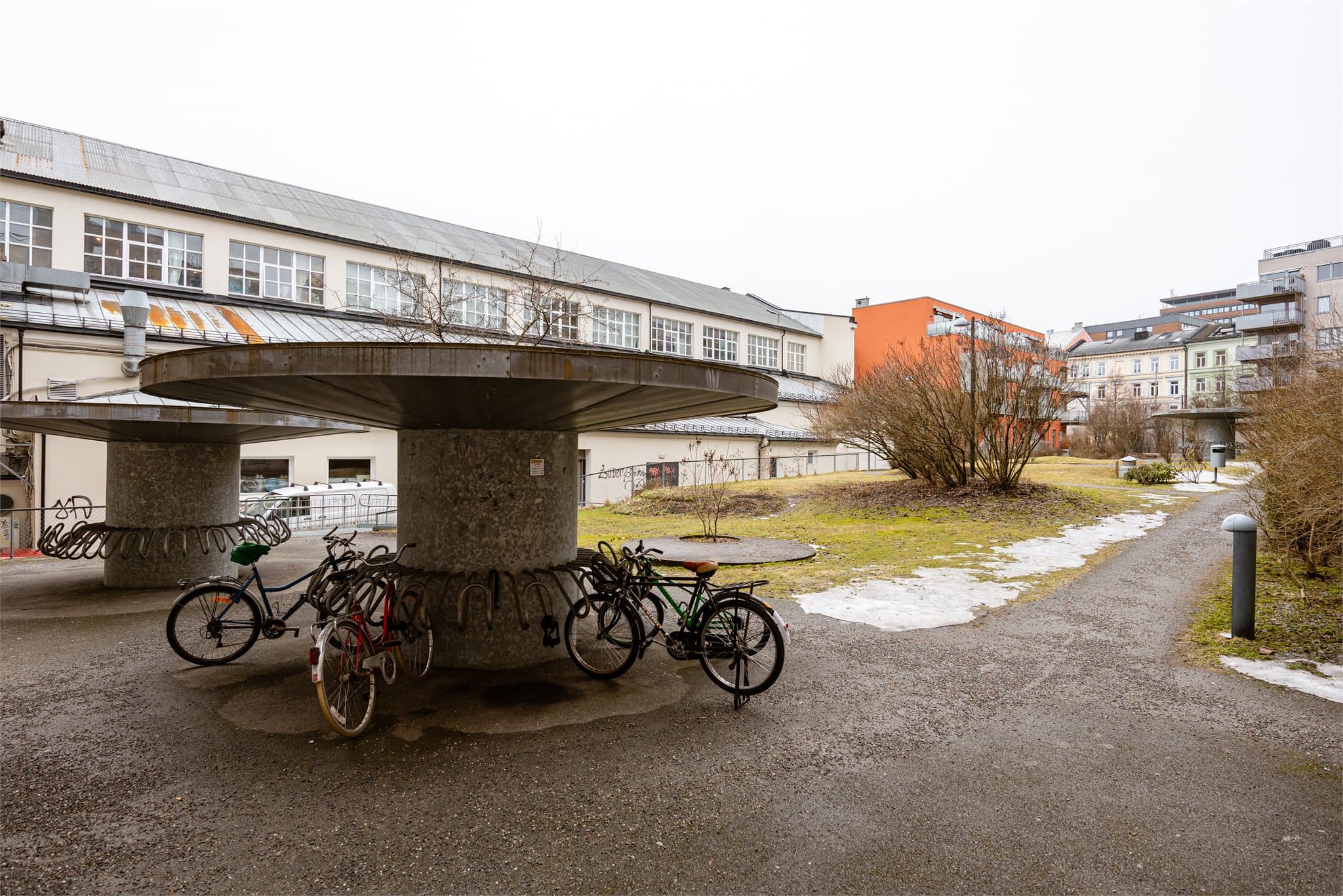 Hyggelig bakgård med sykkelparkering, grøntområder og diverse beplantning. Her møtes naboer for en prat i forbi farten.