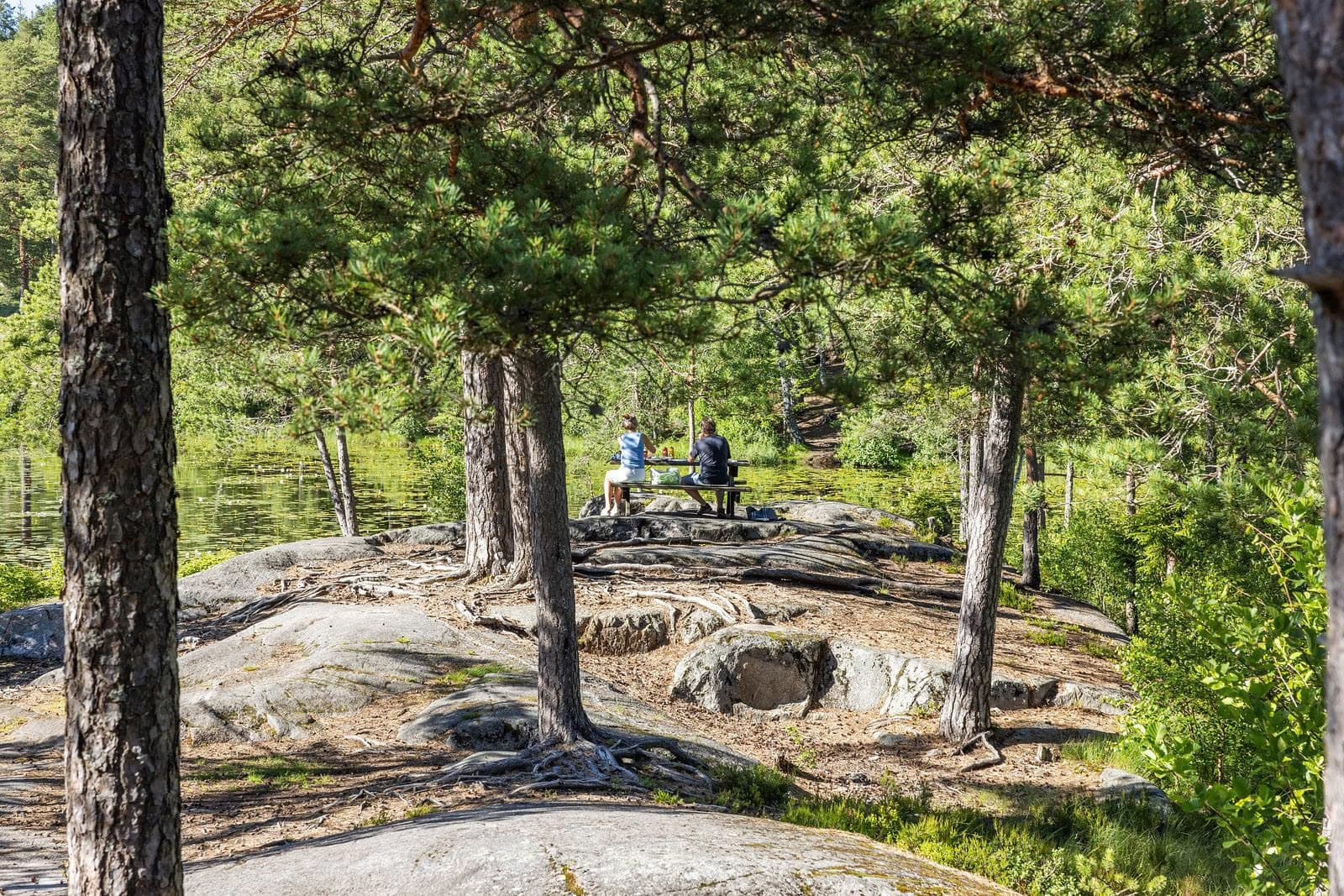Østmarka som nærmeste nabo - med fine turstier og innbydende badevann.