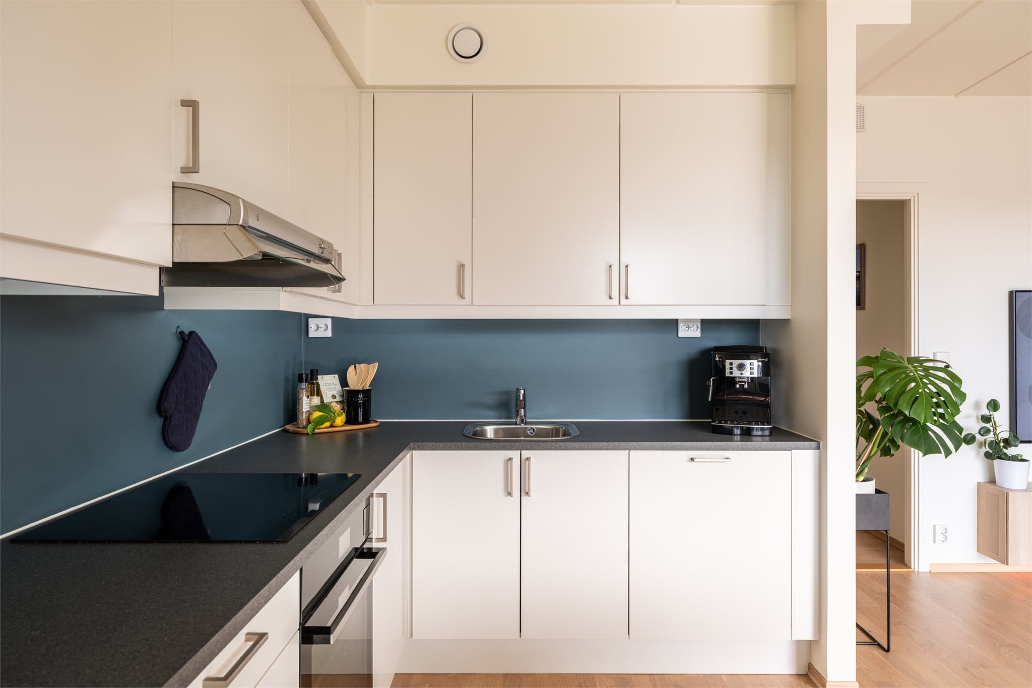 Kjøkkenet har en praktisk laminatbenkeplate og godt med arbeidsflate.