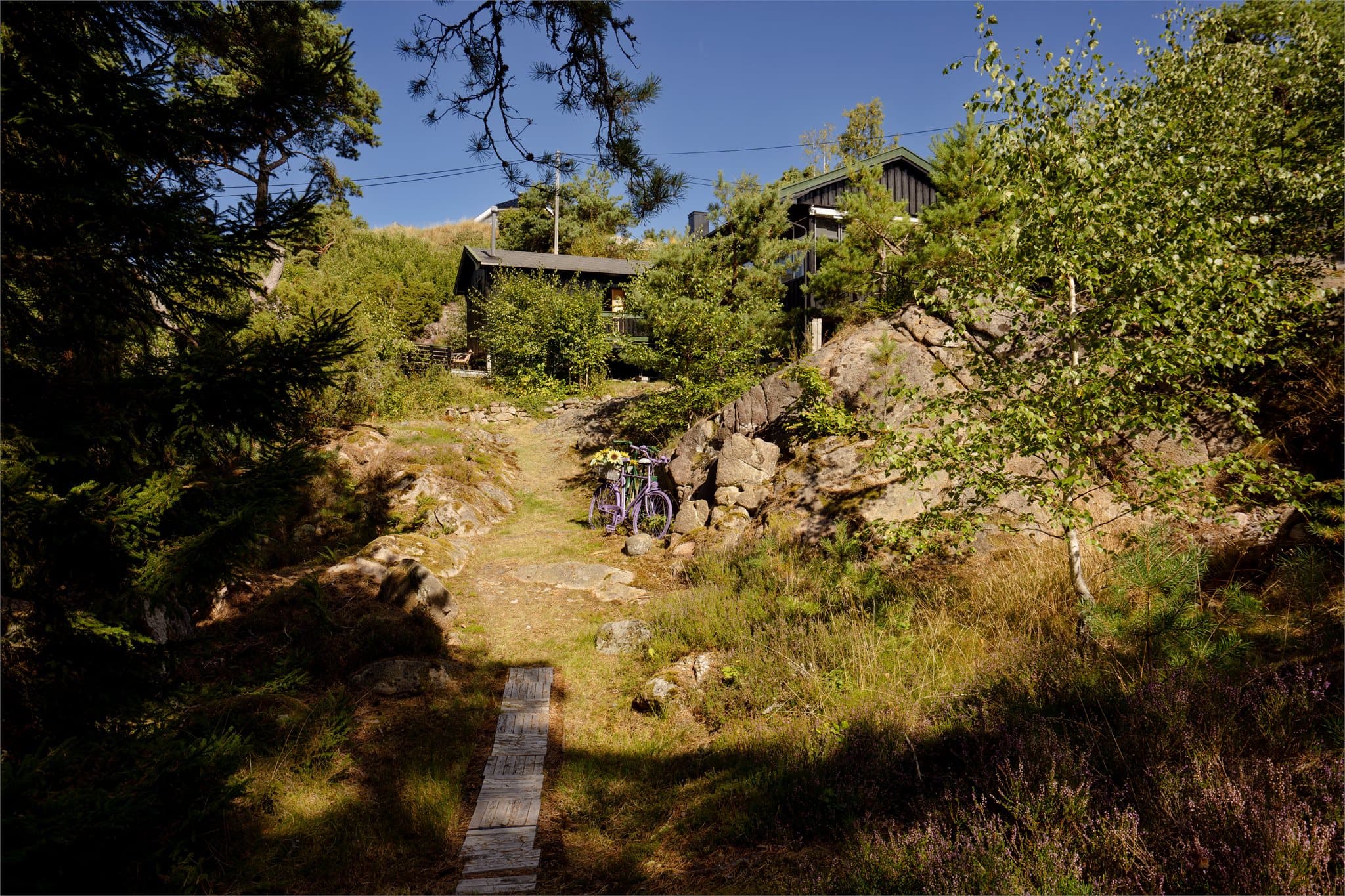 Tretrapp og gangsti leder trygt gjennom det kuperte terrenget.