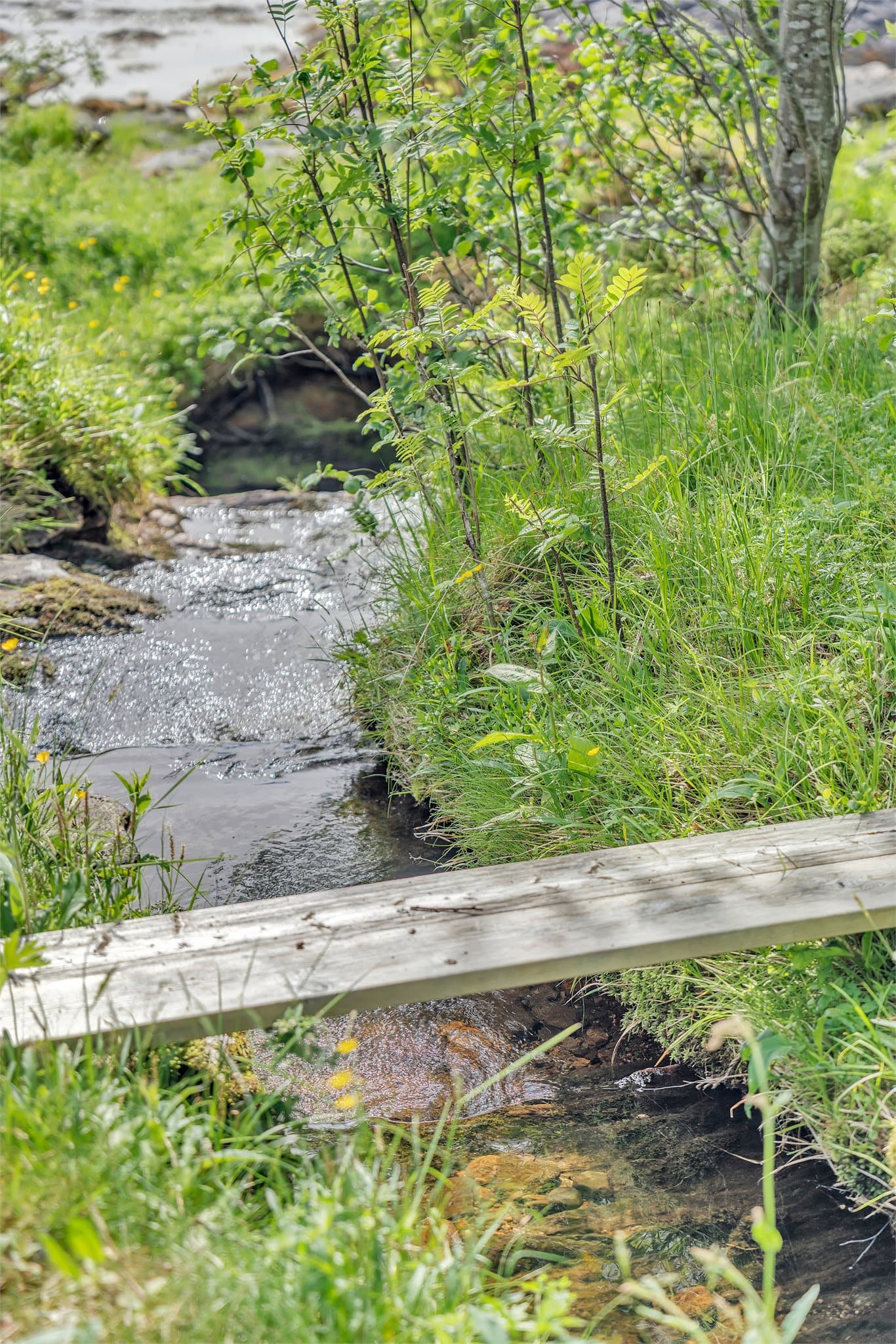 En nærliggende bekk benyttes som vannkilde i sommerhalvåret.