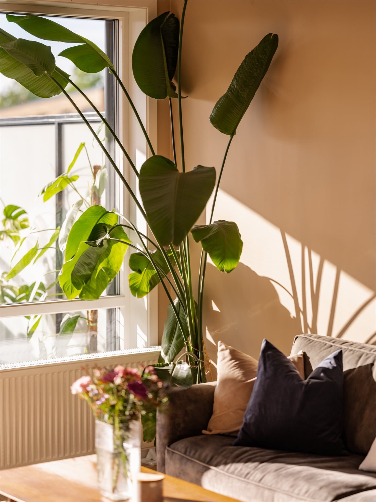 Boligen får godt med lys fra store vindusflater på to sider.