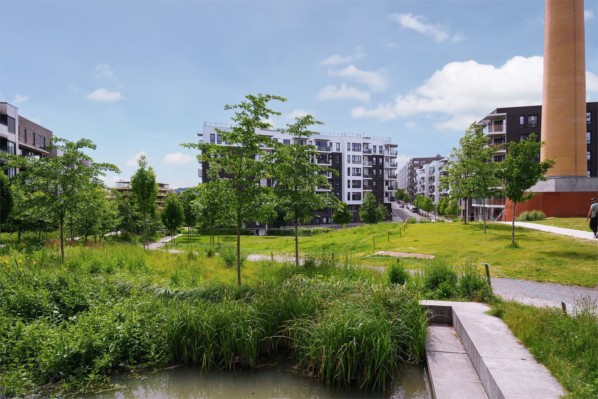Tiedemannsparken