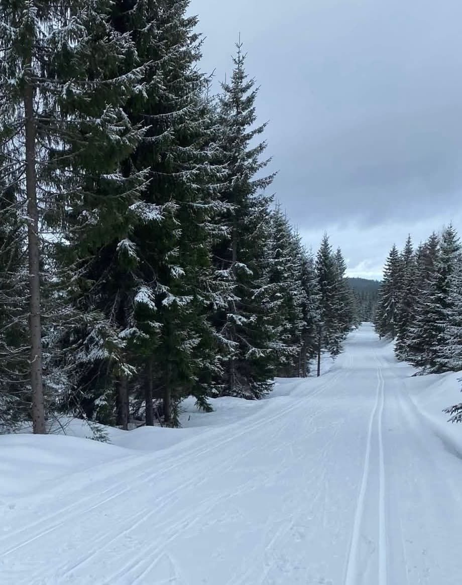 Fra hytta har du kort vei til det populære løypenettet på Minneåsen – et av Hurdals mest ettertraktede områder for langrenn. Her finner du milevis med velpreparerte skiløyper som slynger seg gjennom vakker skog og åpent åsterreng.