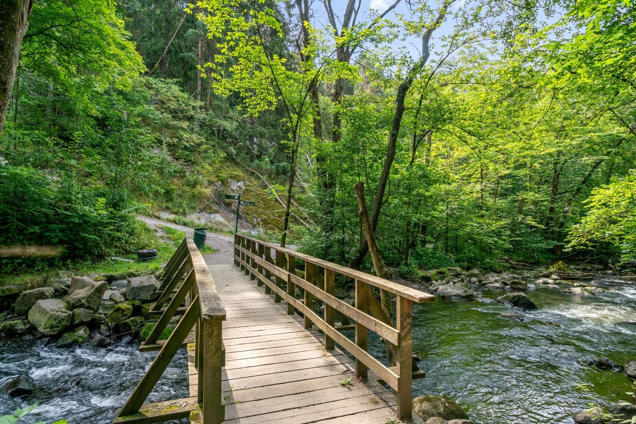 Fine parker og grøntområder like i nærheten.