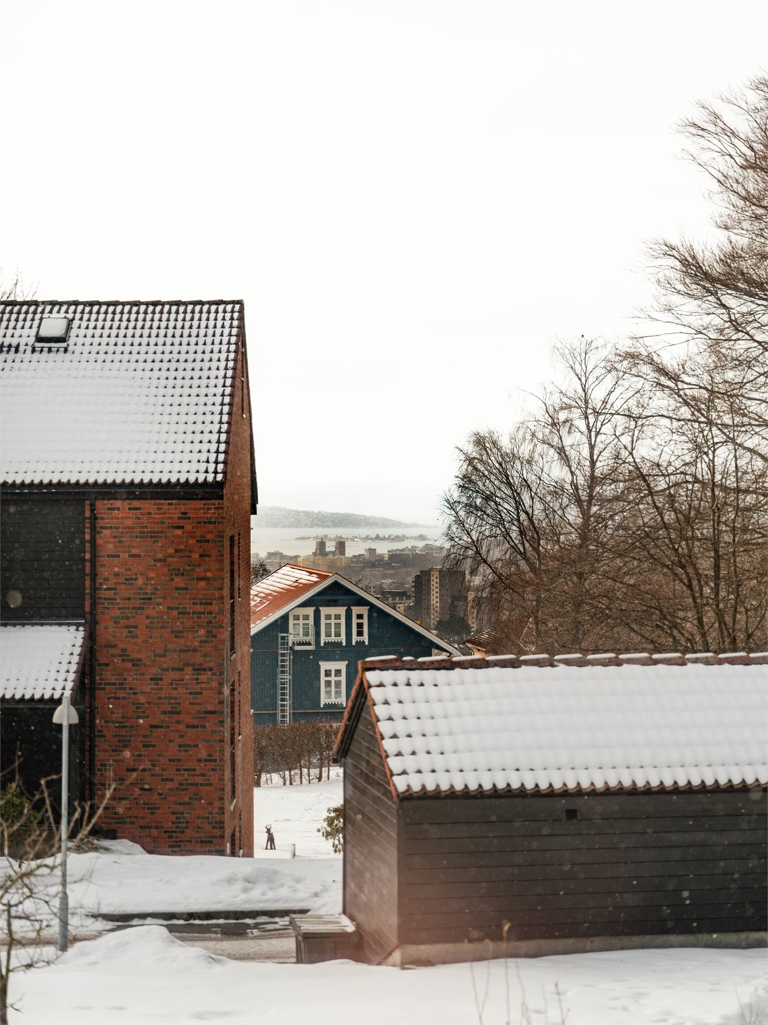 Det er flott utsikt helt ned til Oslofjorden!