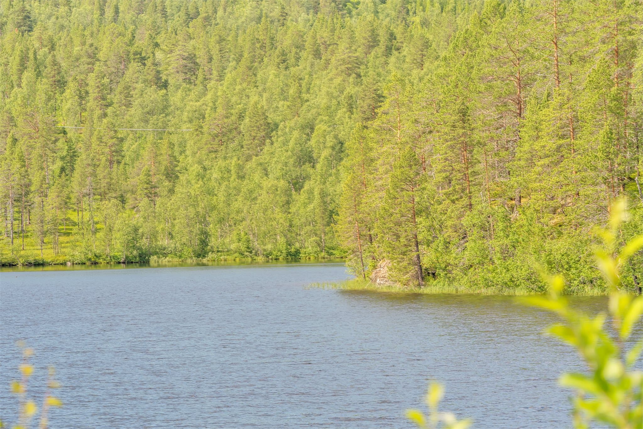 Områdebilde