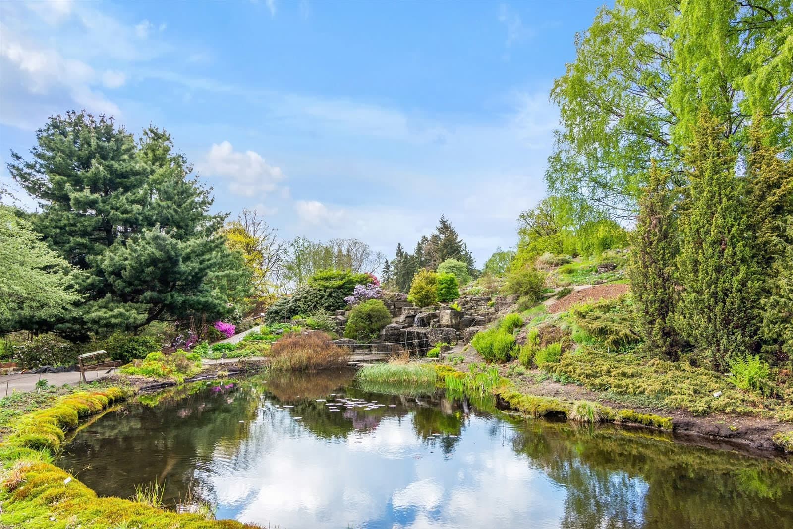 Botanisk hage byr på nydelig natur og parkområde.