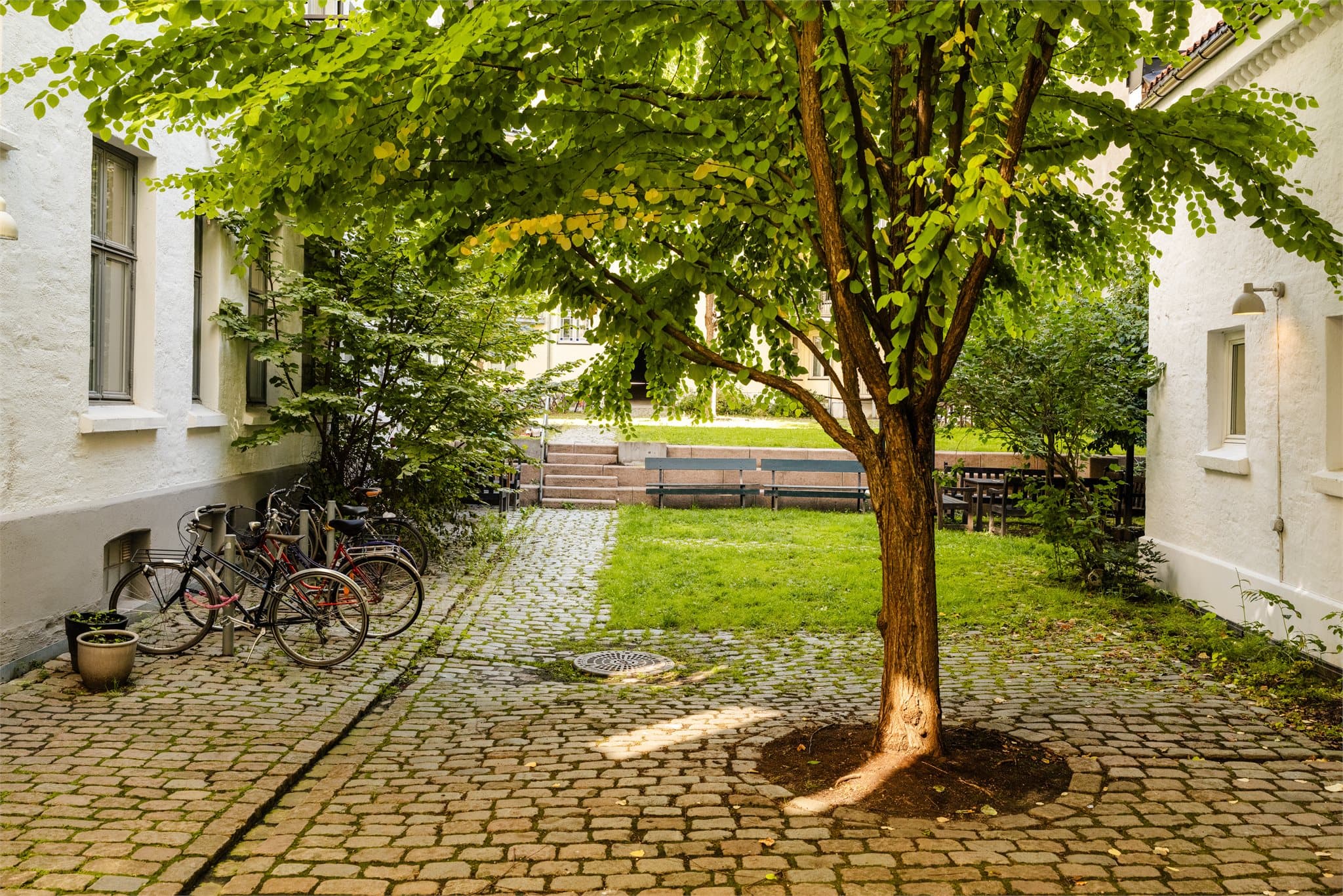 Borettslaget har en hyggelig og frodig felles bakgård, skjermet fra byens pulserende liv.