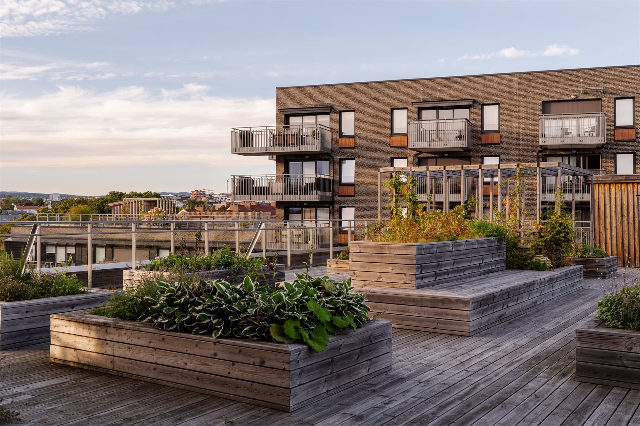 Takterrassen er omkranset av frodige planter som gir en lun og innbydende stemning.