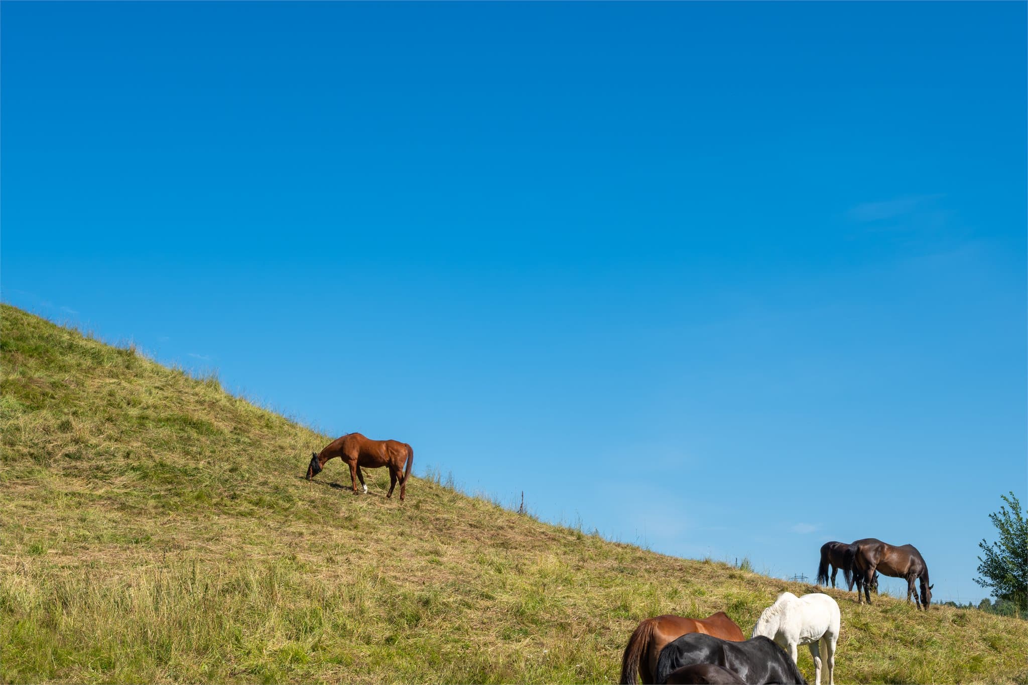 Her får du et område som kombinerer nærhet til natur og by, og som passer ypperlig for barnefamilier.