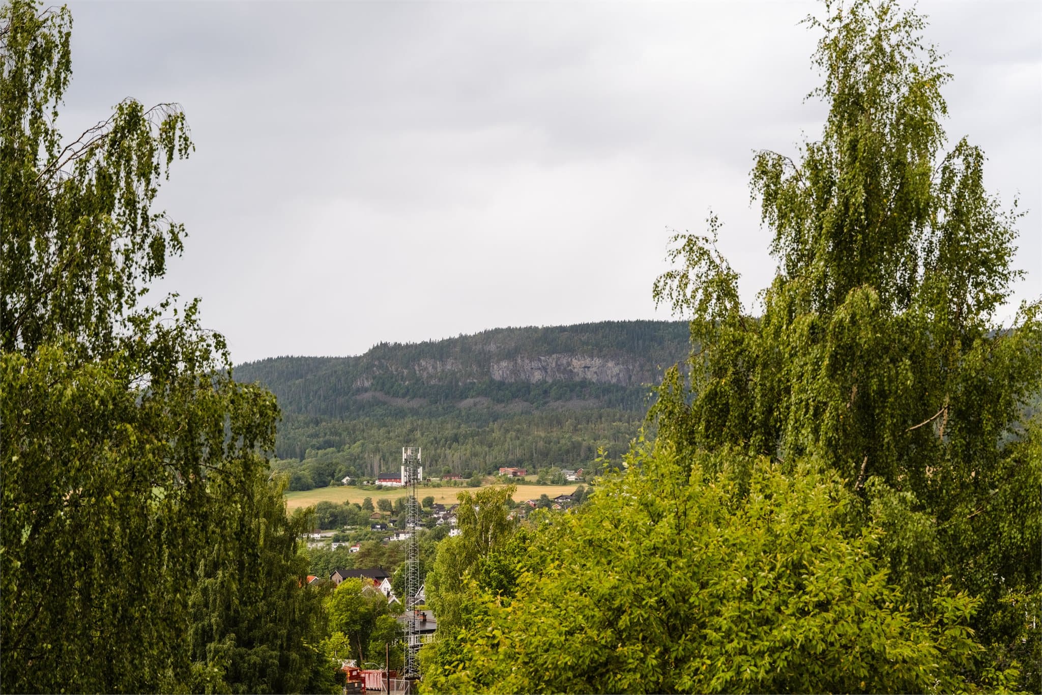 Usjenert utsyn fra de store vindusflatene i stuen, med naturskjønn og frodig utsikt!