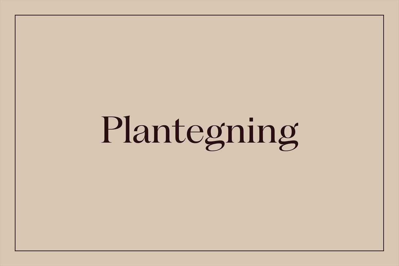 Plantegning.