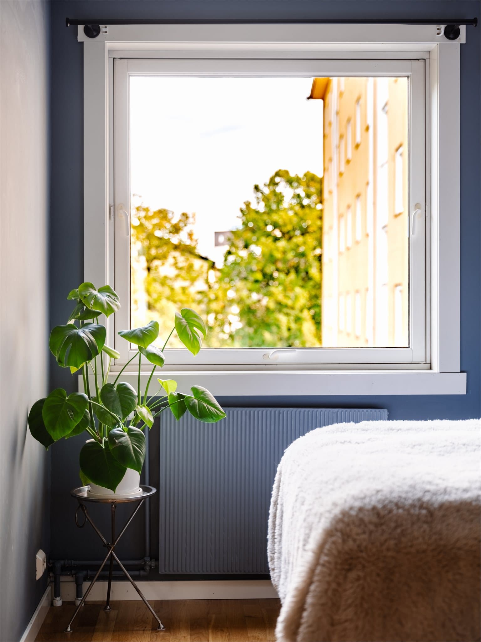 Vindusposten gir utsyn mot trekroner og nabolaget.
