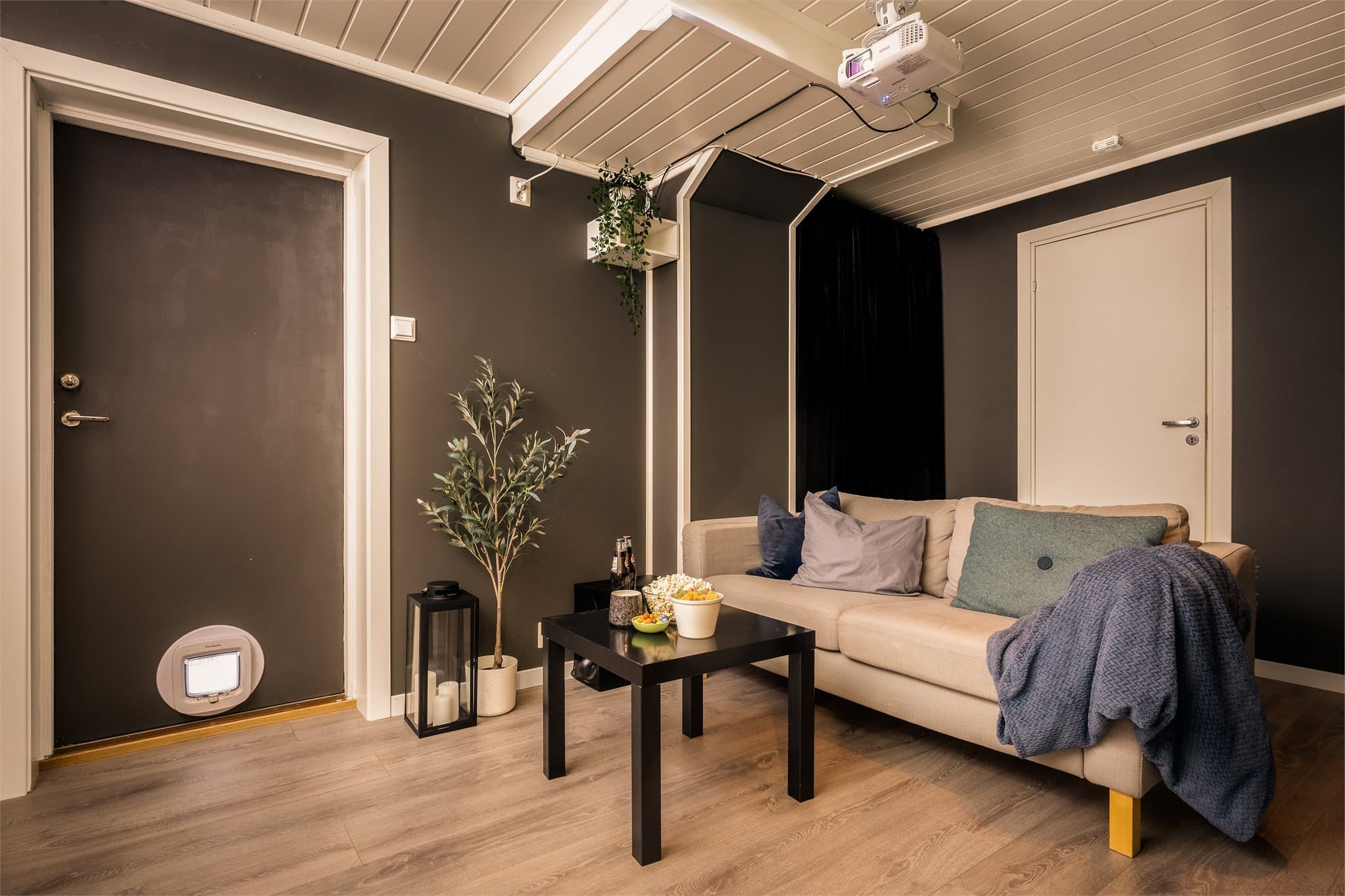 Kjellerstuen er i dag benyttet sin kinorom og er malt i en mørk nyanse. Det er kjellerinngang direkte til rommet.