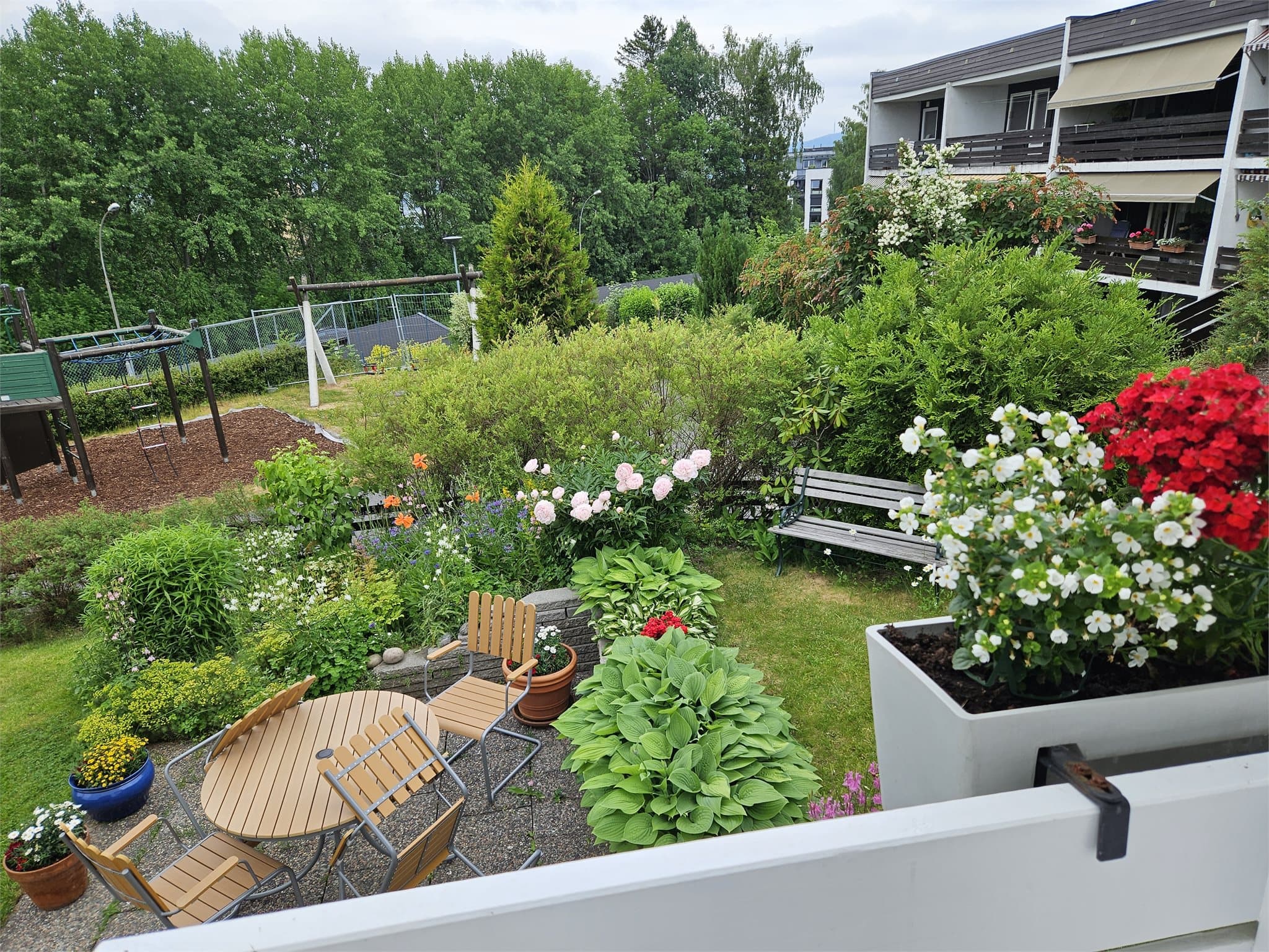 Bilde tatt av selger - Her blomster plantene i omgivelser de virkelig trives i.