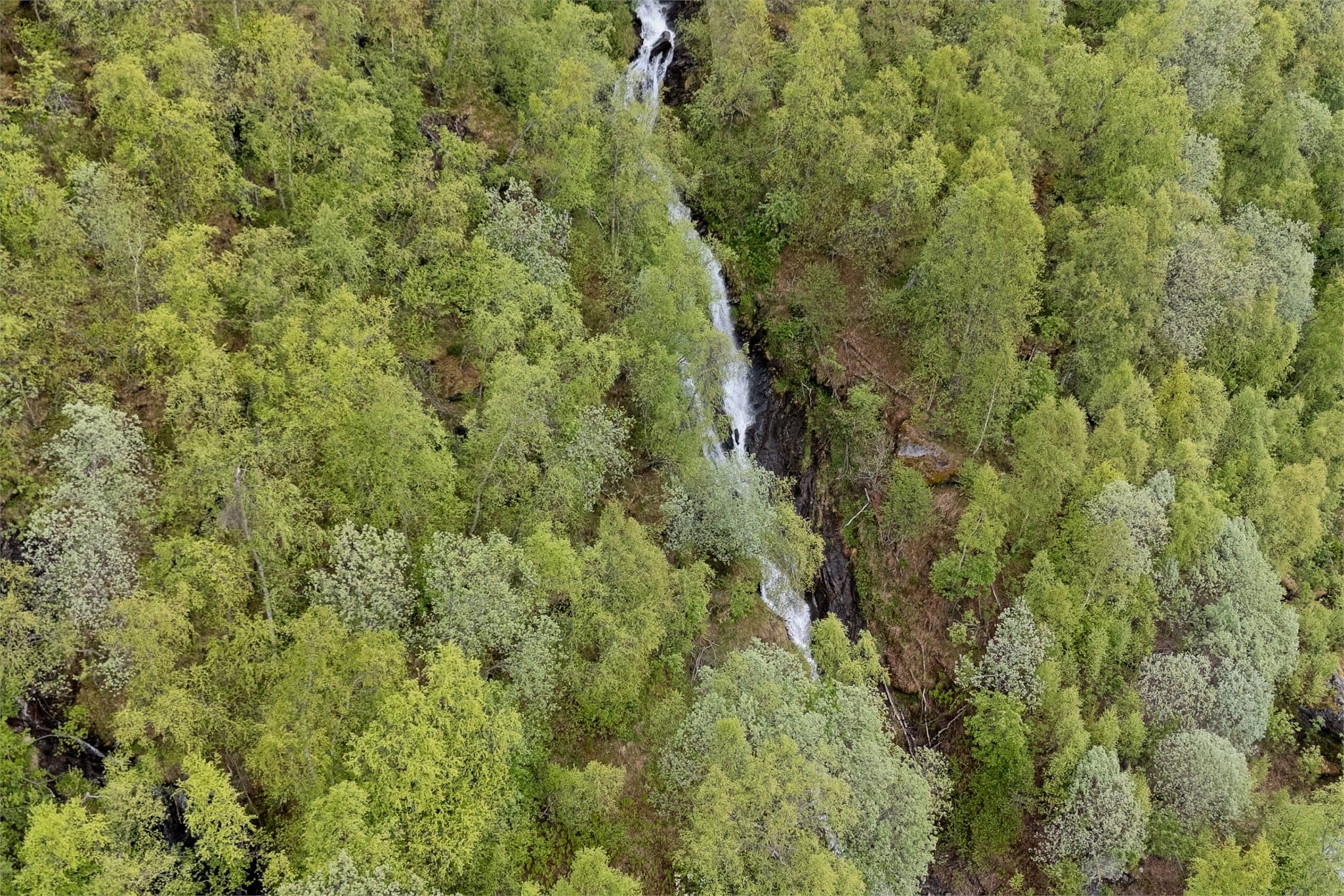 I umiddelbar nærhet til hytta finnes naturskjønne elementer som bekker og fossefall.