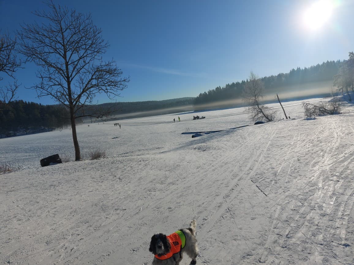 Ved Nøklevann er det skiløyper og skøytebane som måkes og vedlikeholdes av bymiljøetaten. Det er også mulig å leie kanoer ved Nøklevann.
